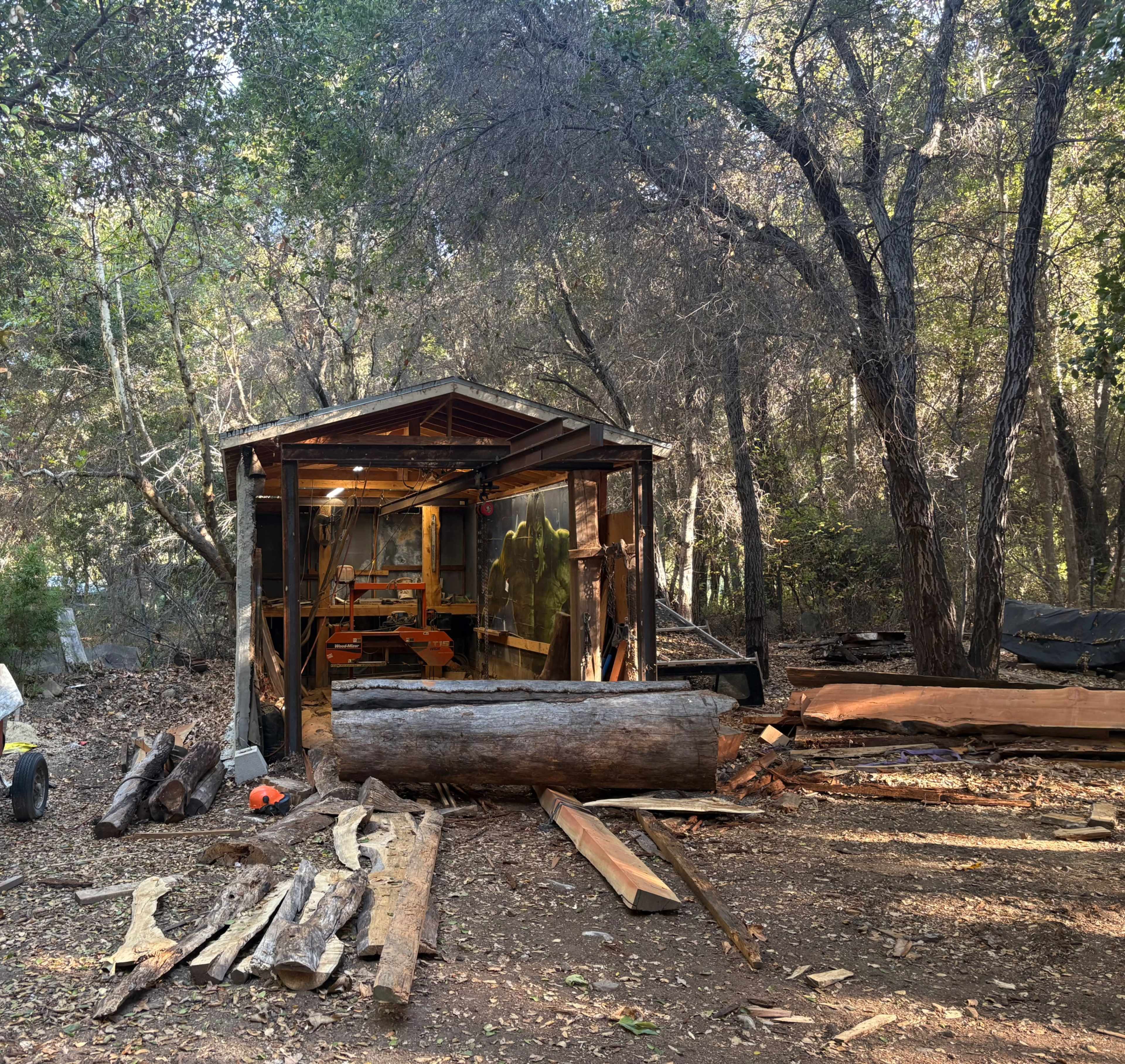 Rustic Forest Hideaway with Untamed Mountain Vibes Image in , Ojai, CA