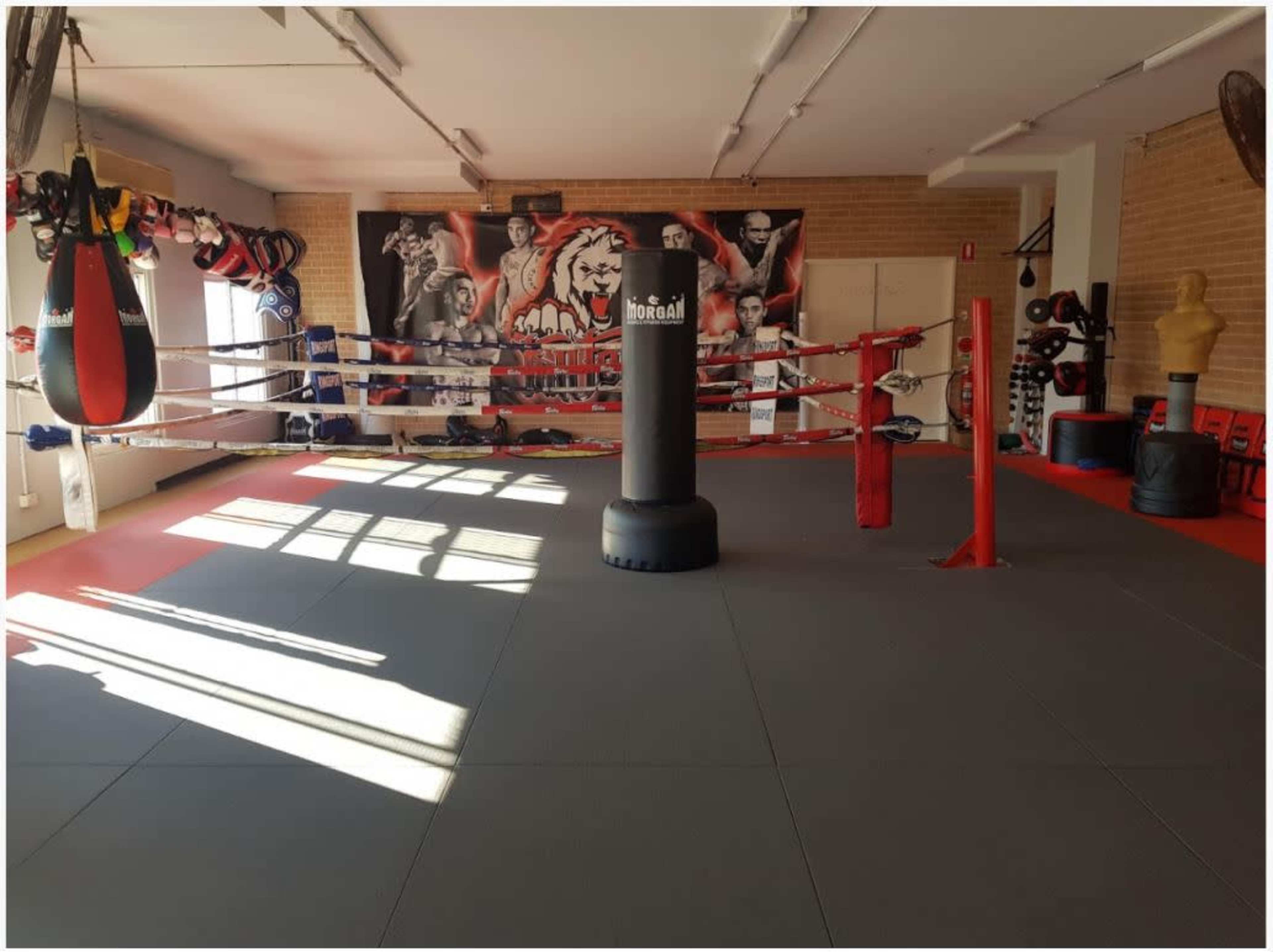 A boxing gym with a central ring, various training equipment, and a mural featuring athletes on the wall.