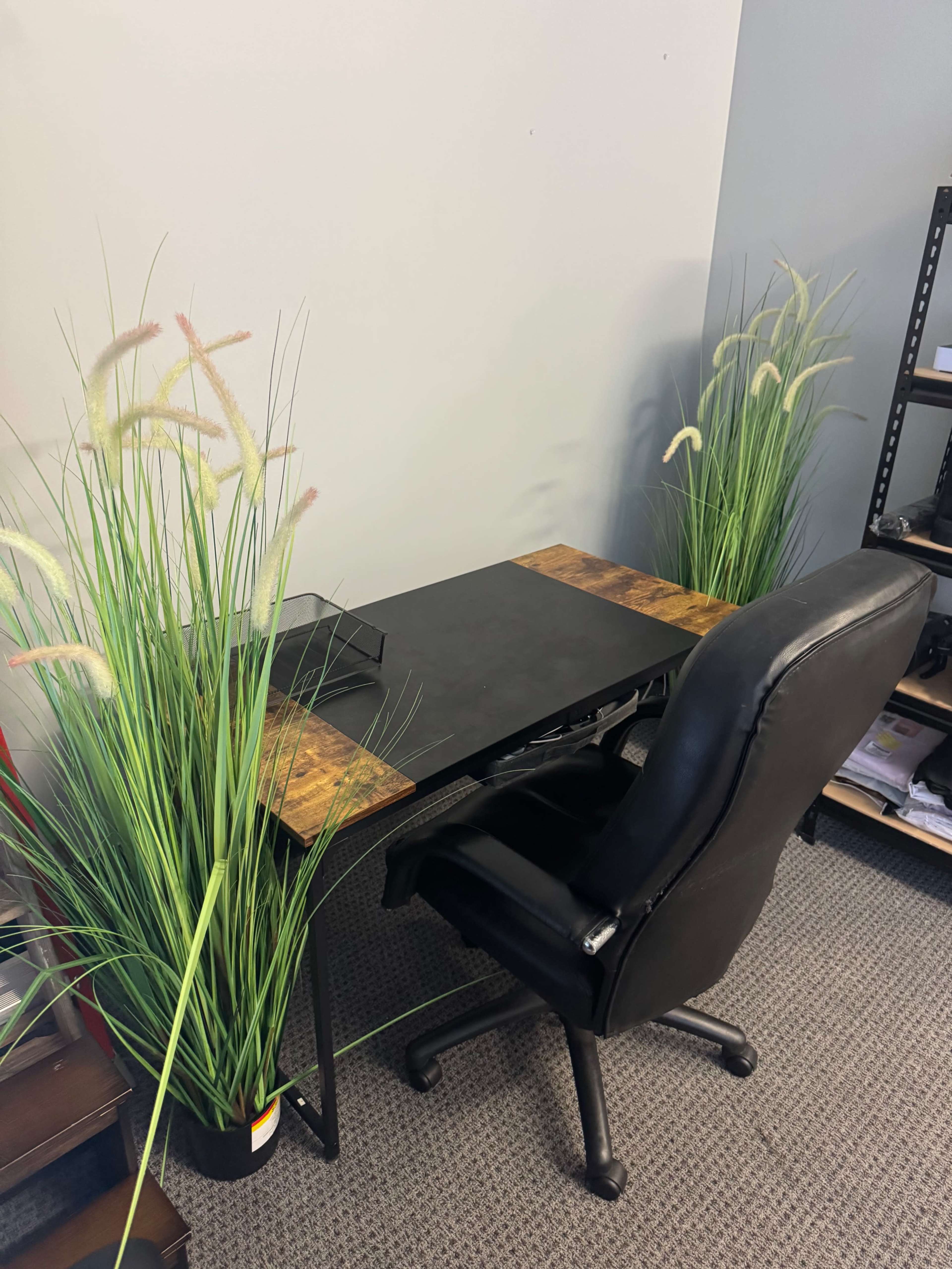 Downtown Loft with Natural Light Image in Bowling Green, Bowling Green, KY