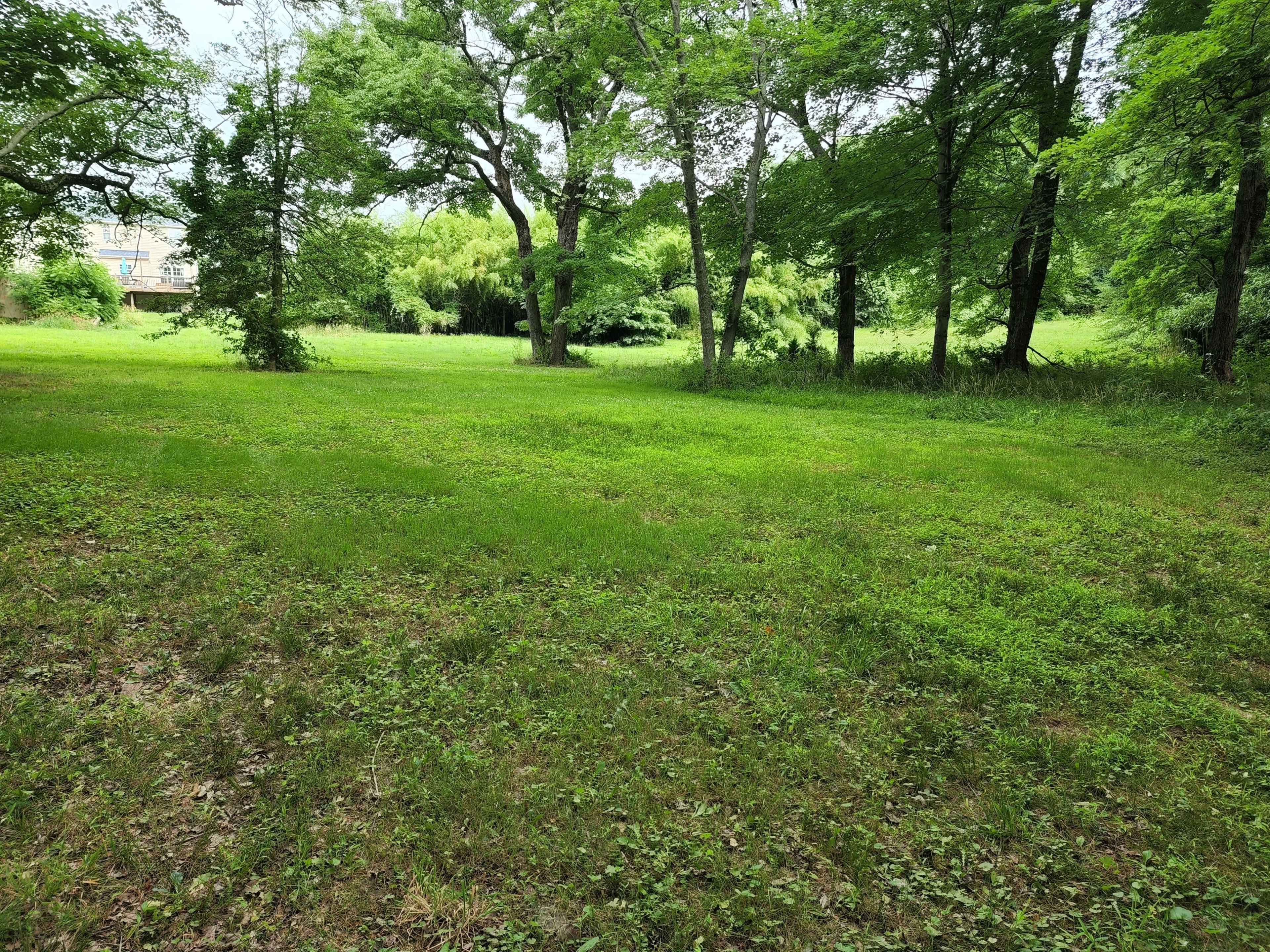 The image shows a grassy clearing surrounded by trees in a green landscape.