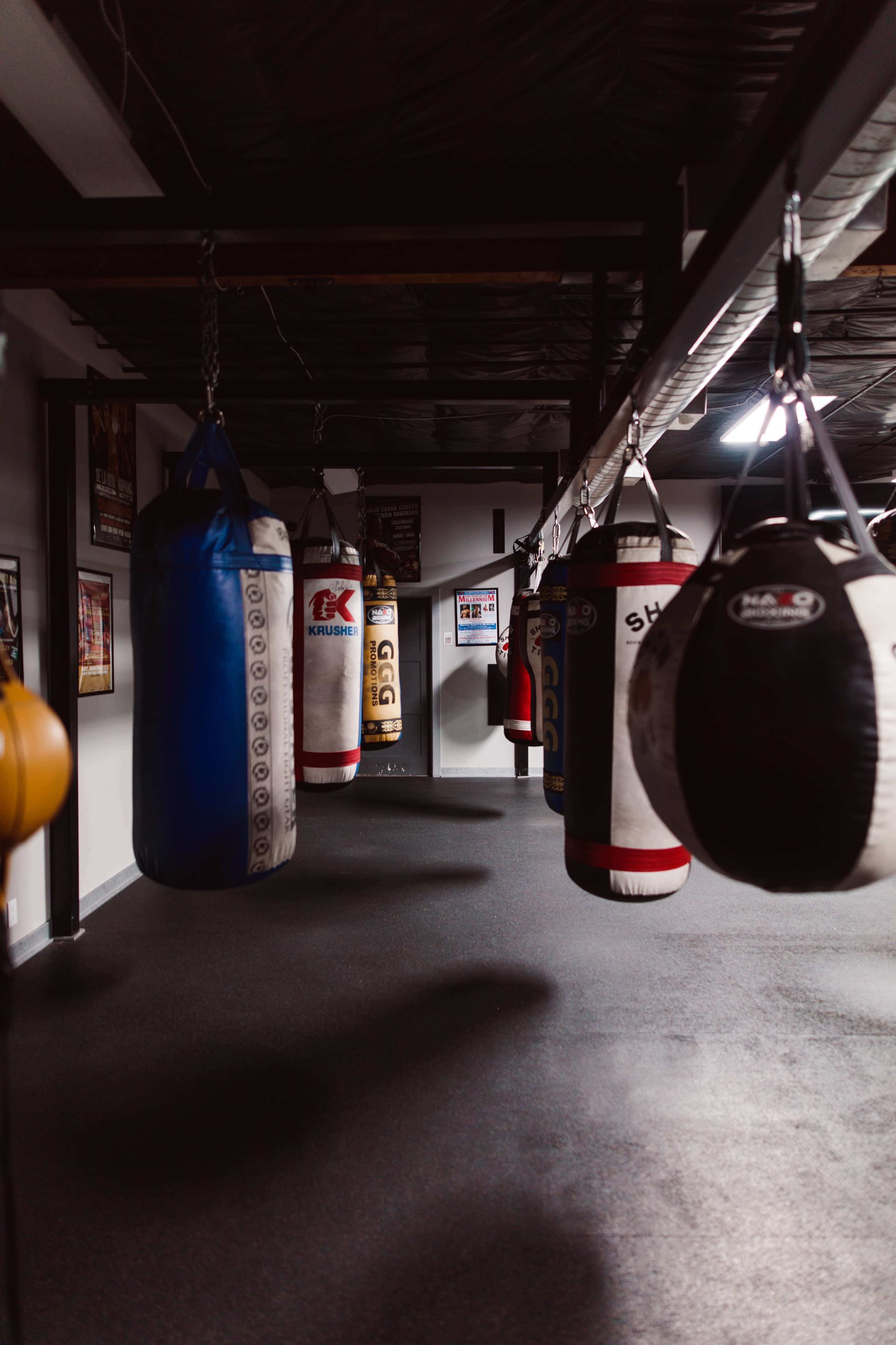 Showtime Boxing Gym Image in Lake Balboa, Los Angeles, CA