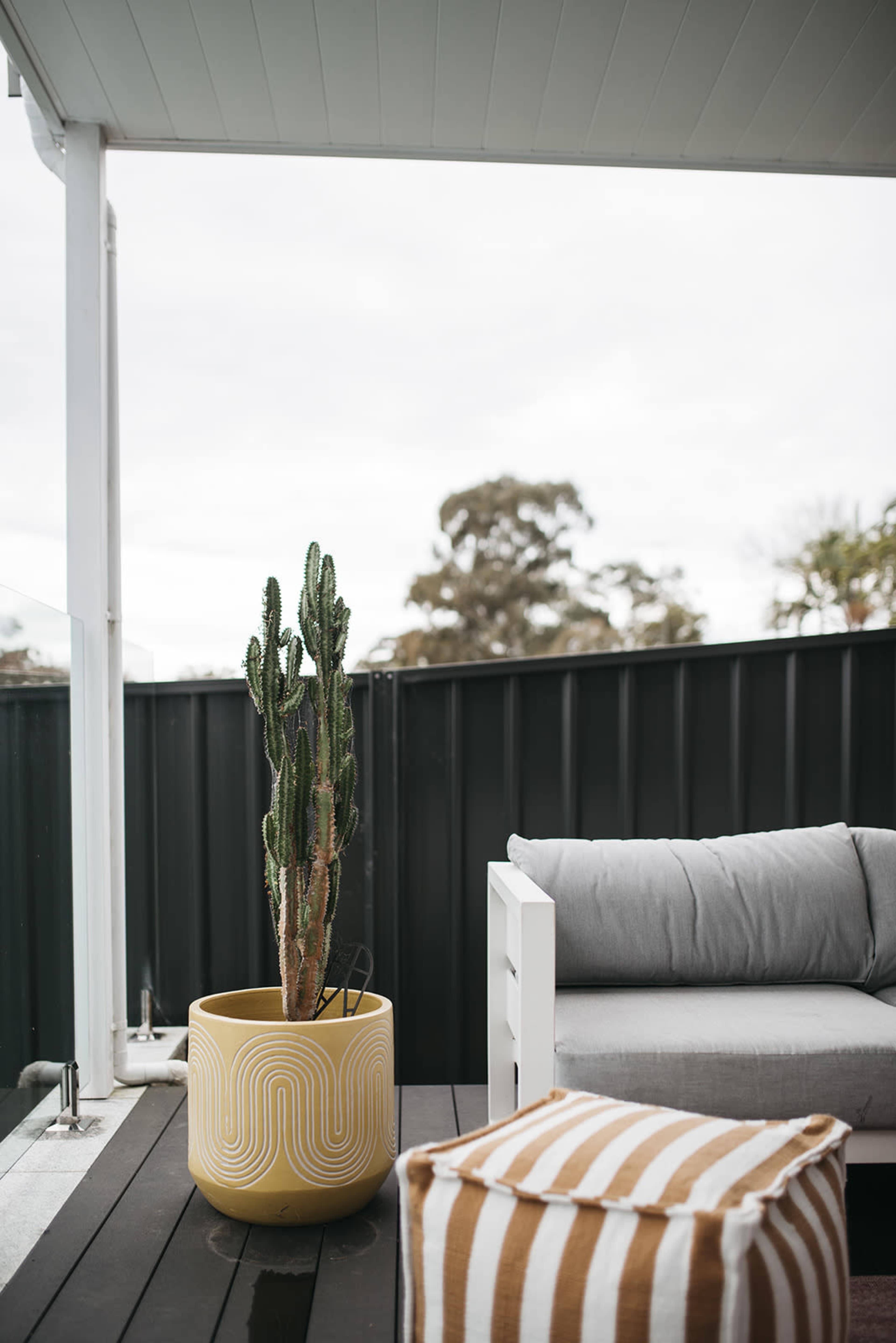 A tall cactus in a patterned yellow pot stands next to a gray outdoor couch on a covered patio.