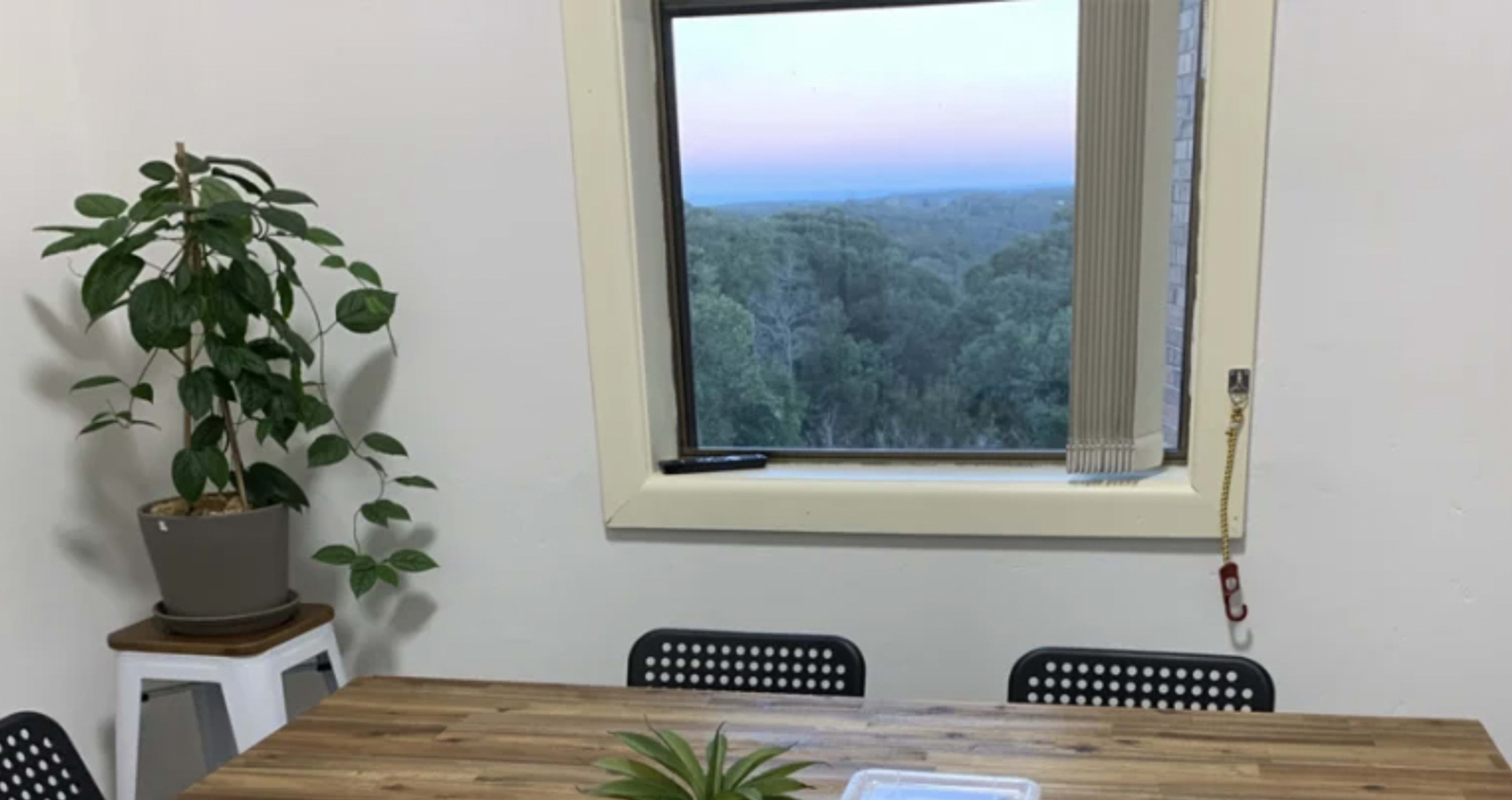 A table is set near a window with a view of trees and a plant beside it.