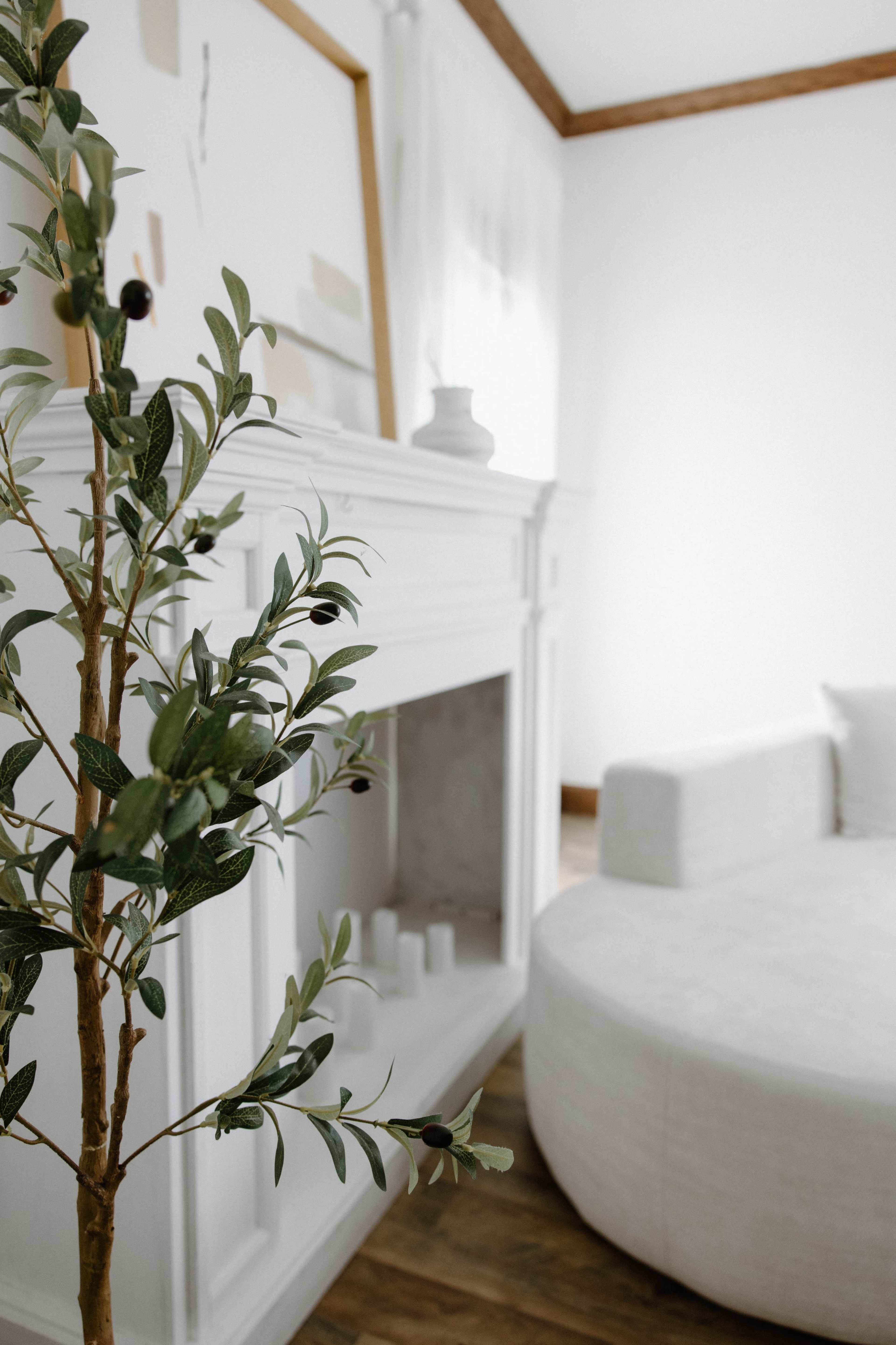The image shows a modern living room featuring a white fireplace, a circular sofa, and a decorative olive branch in the foreground.