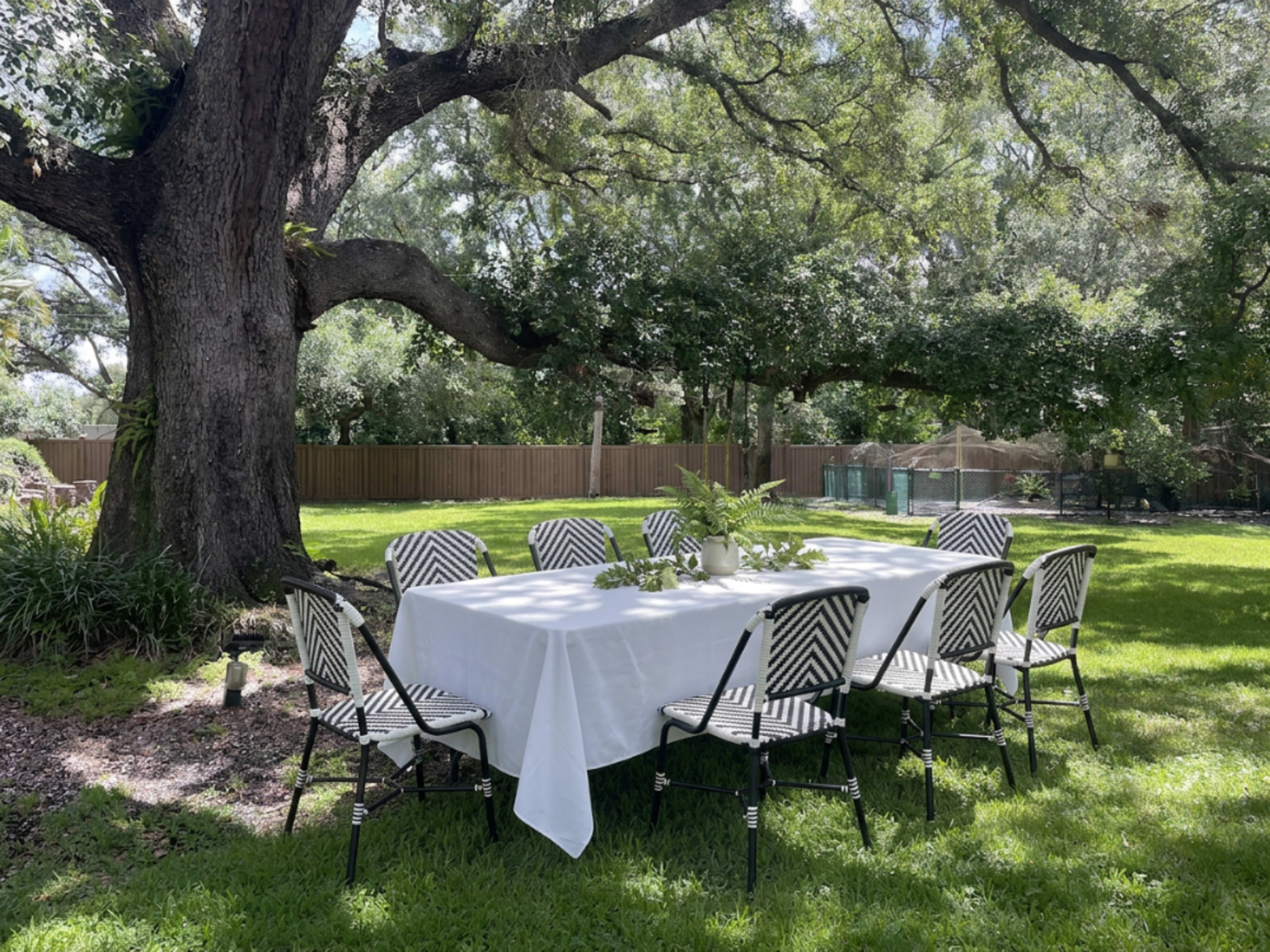 Set Table Under Oak Tree: Outdoor Setup