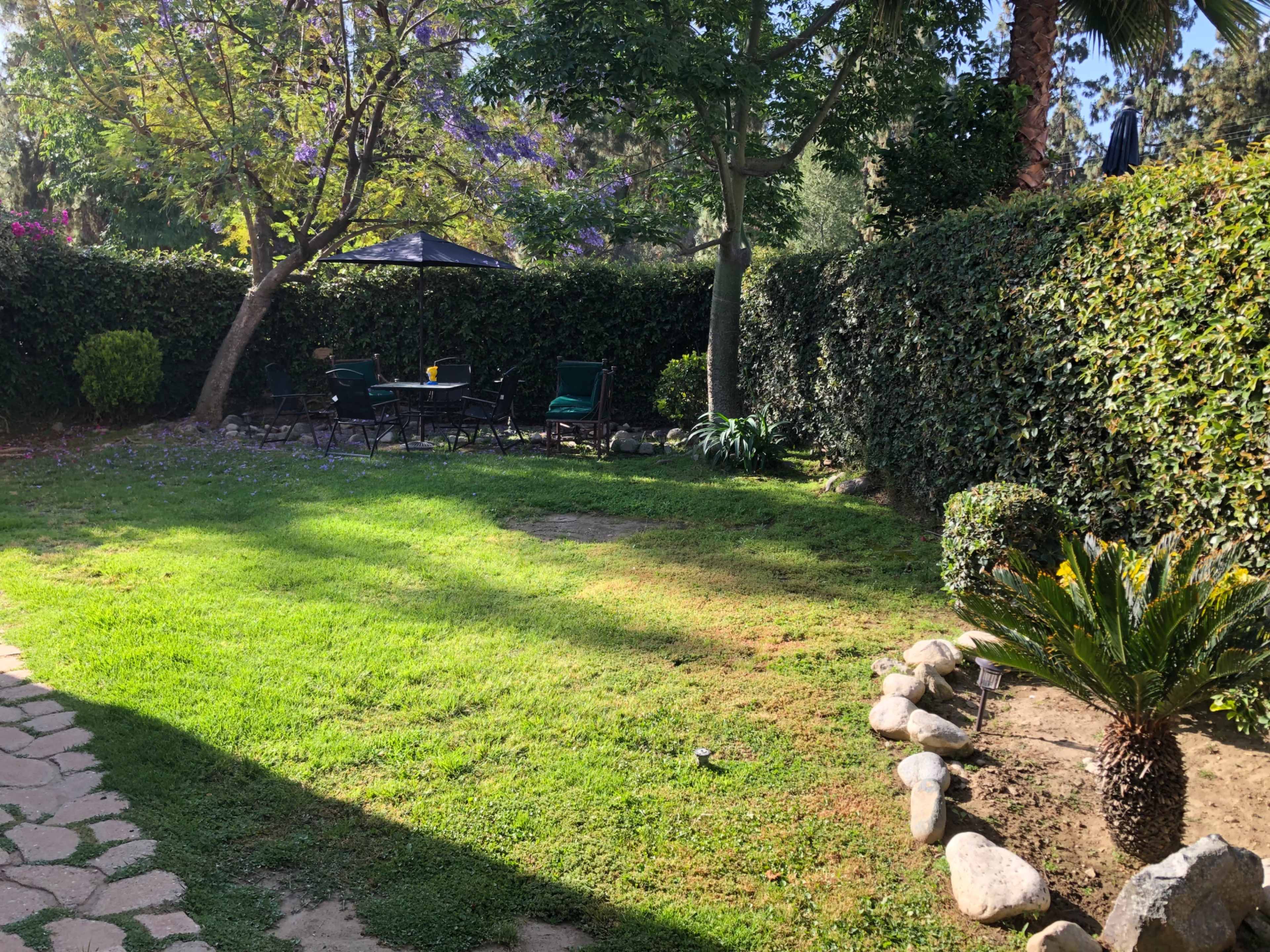A grassy garden bordered by a neatly trimmed hedge, featuring a table and chairs under a gazebo.
