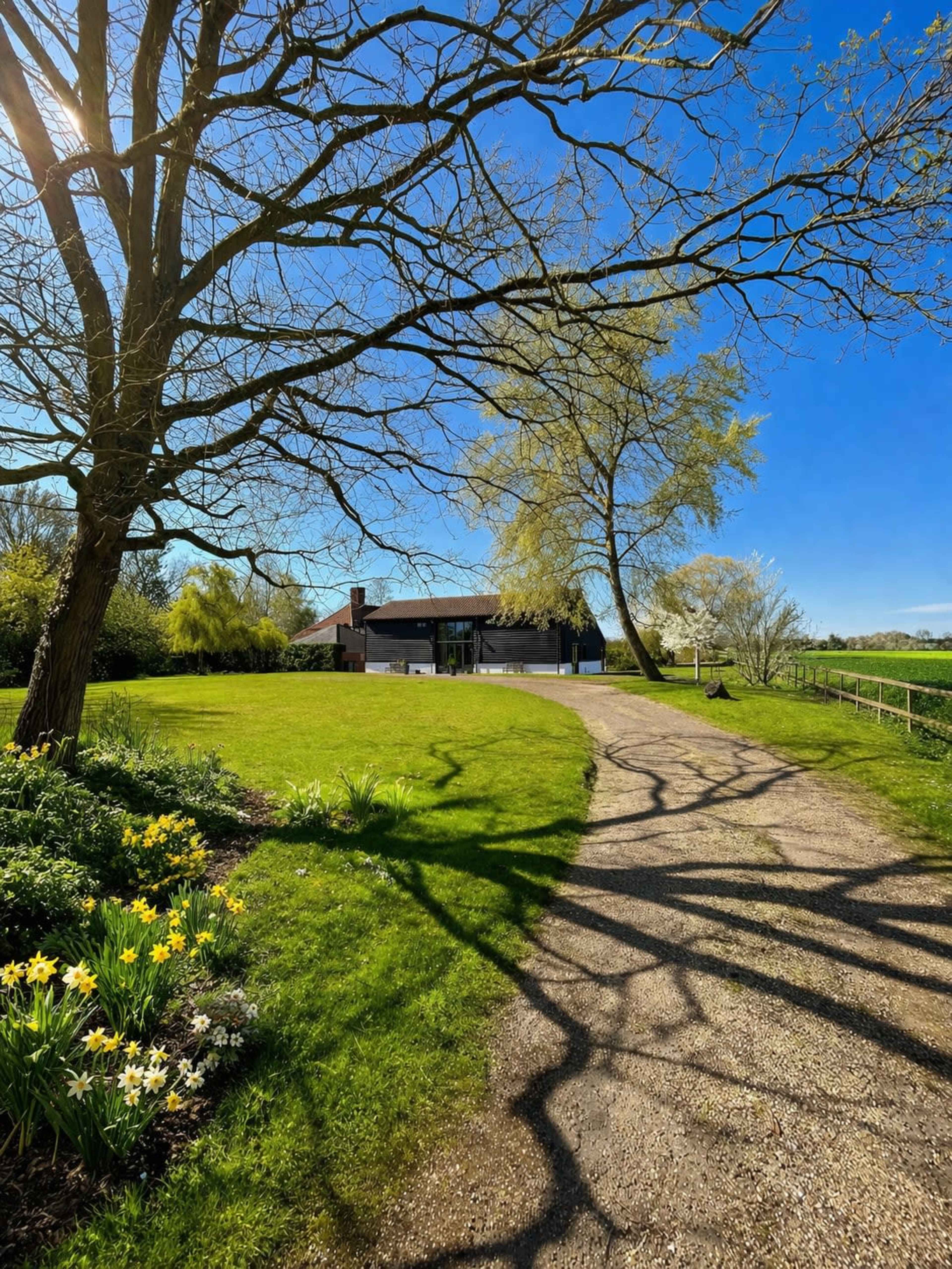 A pathway lined with flowers leads to a modern house surrounded by trees and open green space under a clear blue sky.