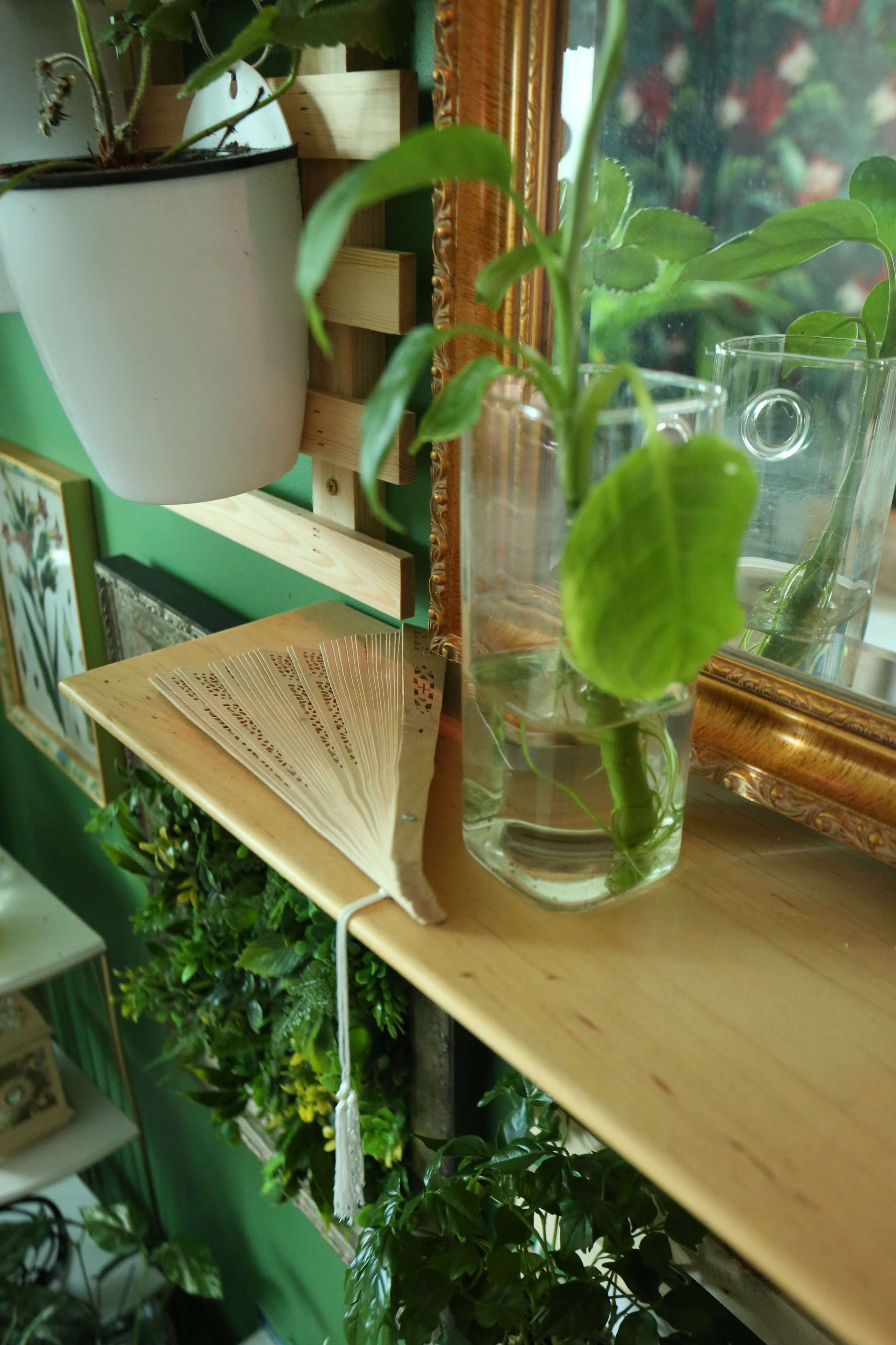 A wooden shelf displays a glass vase with a plant cutting and an ornate fan beside it, set against a green wall and framed mirrors.