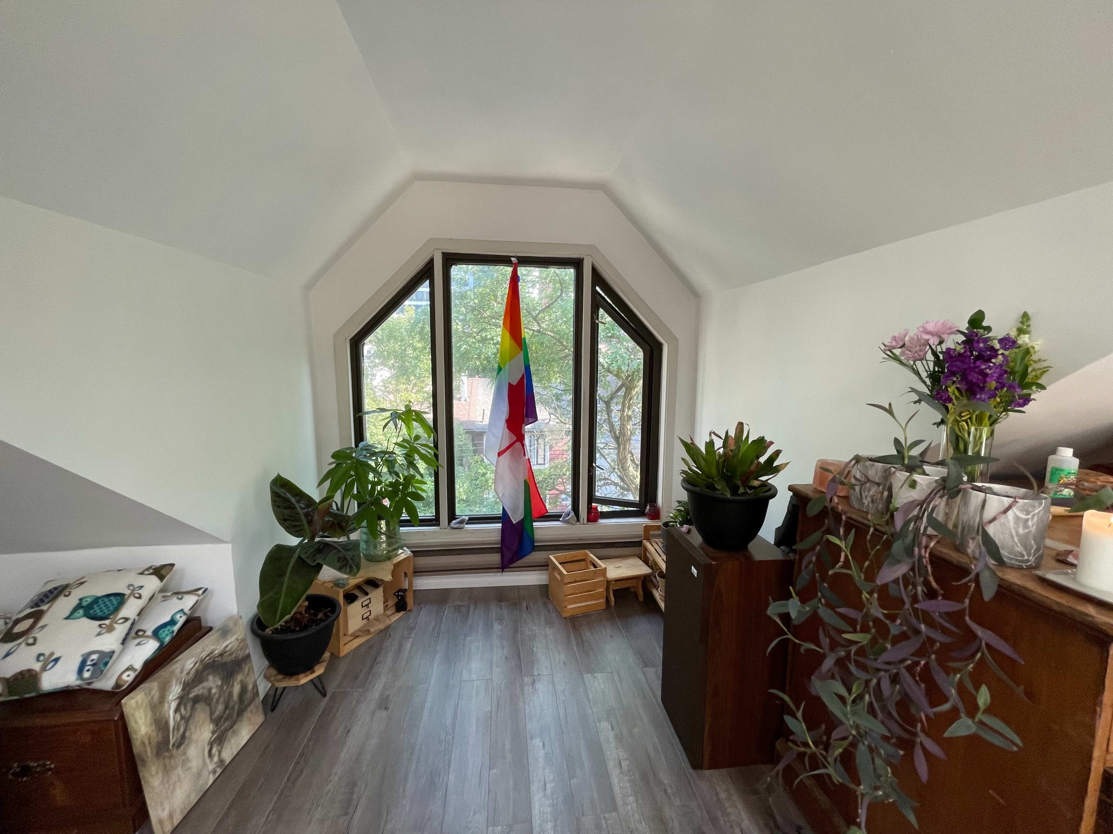 A room with a large window featuring a rainbow flag, green plants, and wooden furniture.