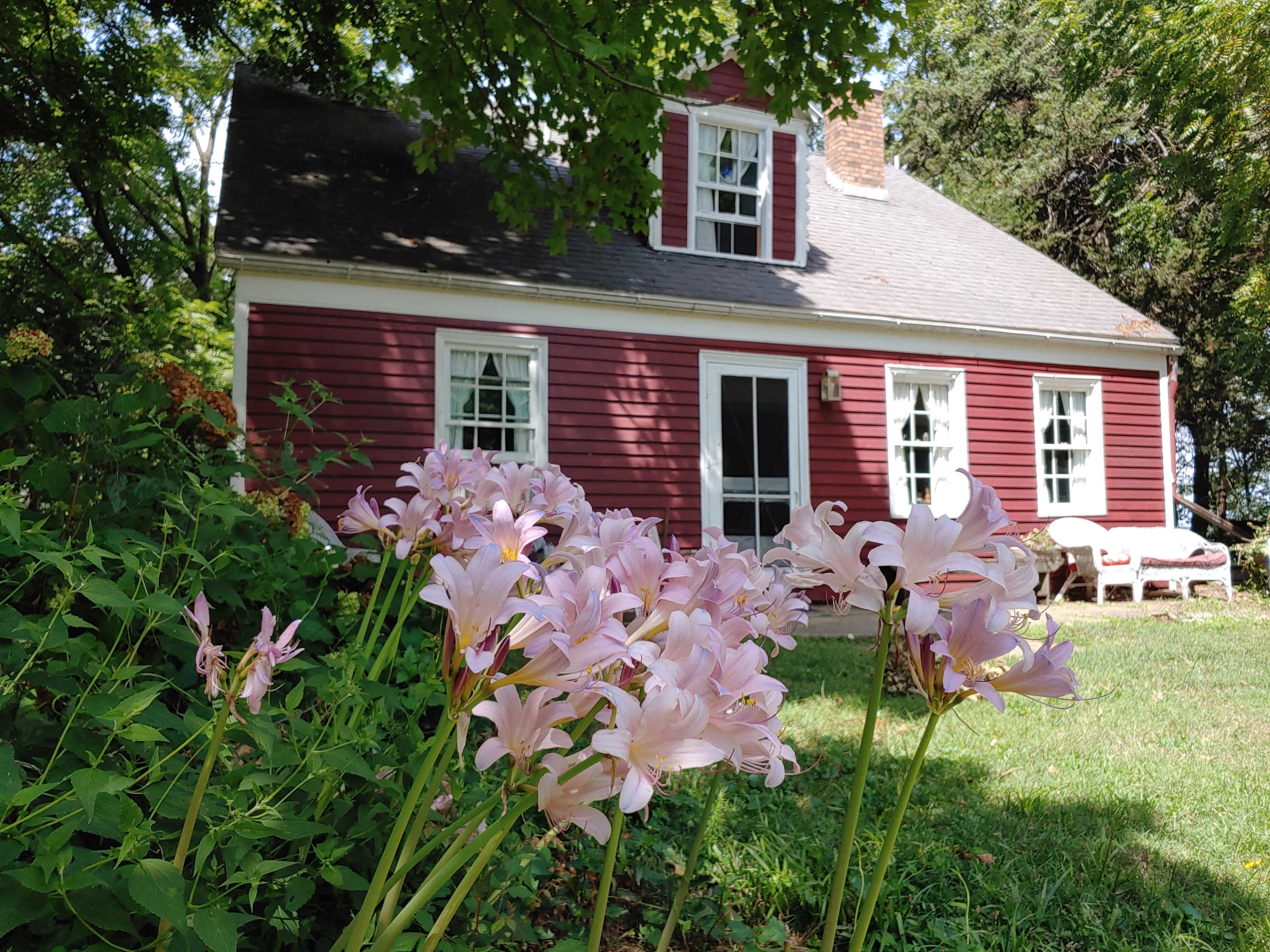 A small red house with white trim is visible behind a cluster of pink flowers.