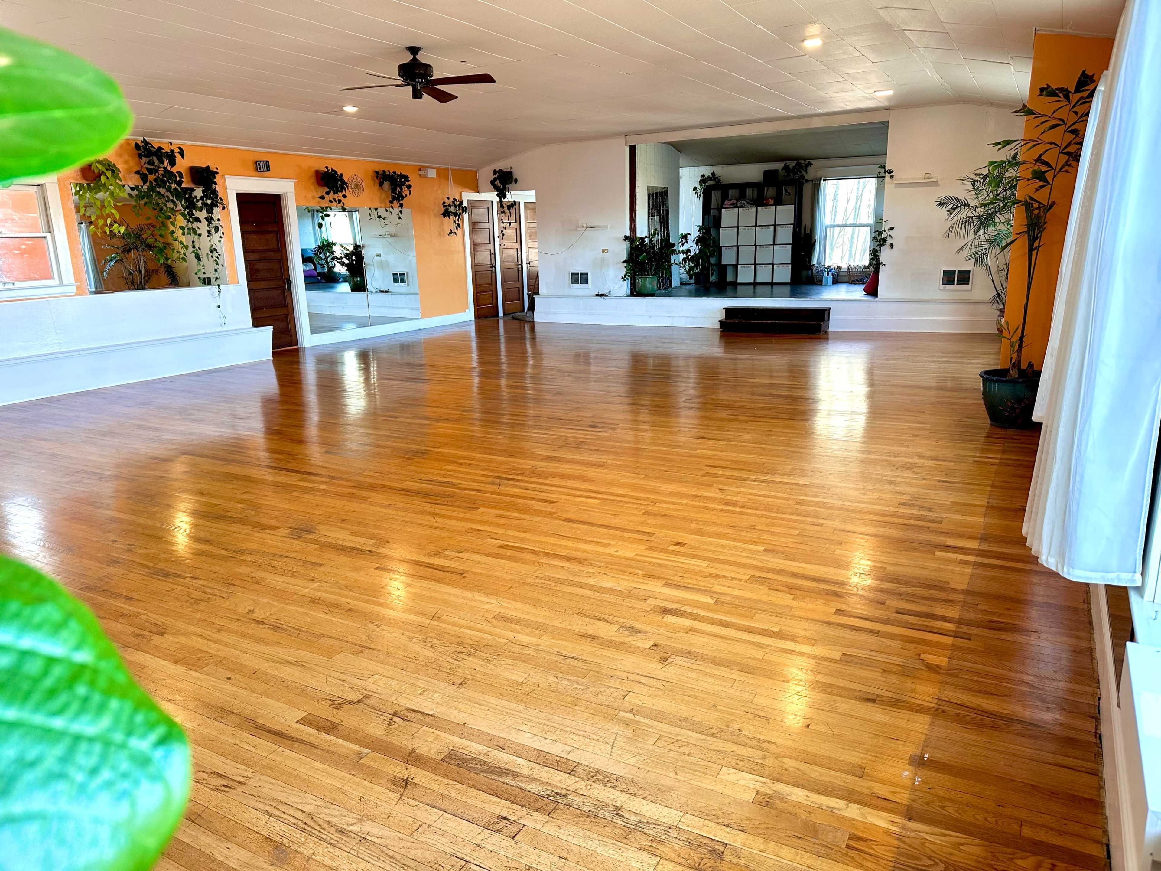 The image shows a spacious, empty room with hardwood floors, large windows, mirrors on one wall, and plants in the corners.
