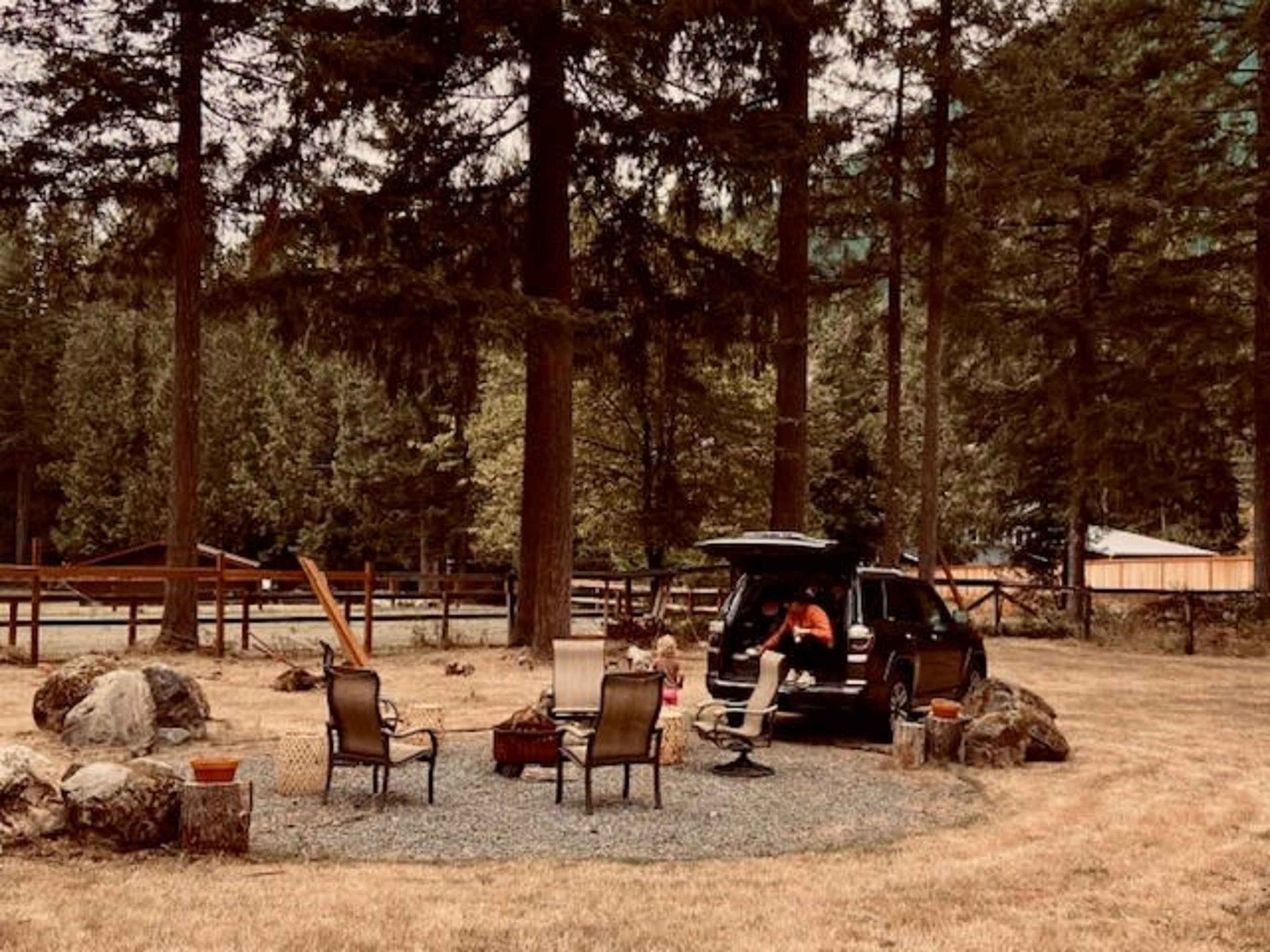 A parked car is surrounded by a circular arrangement of chairs and stones in a grassy area beneath tall trees.
