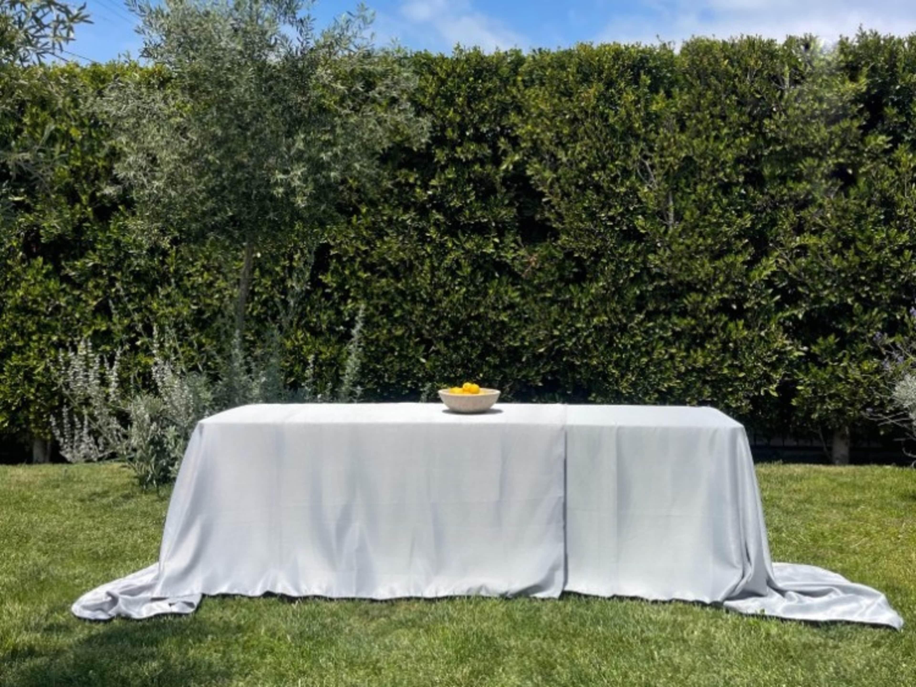 Tablecloths for photoshoots with 8' table add-on.