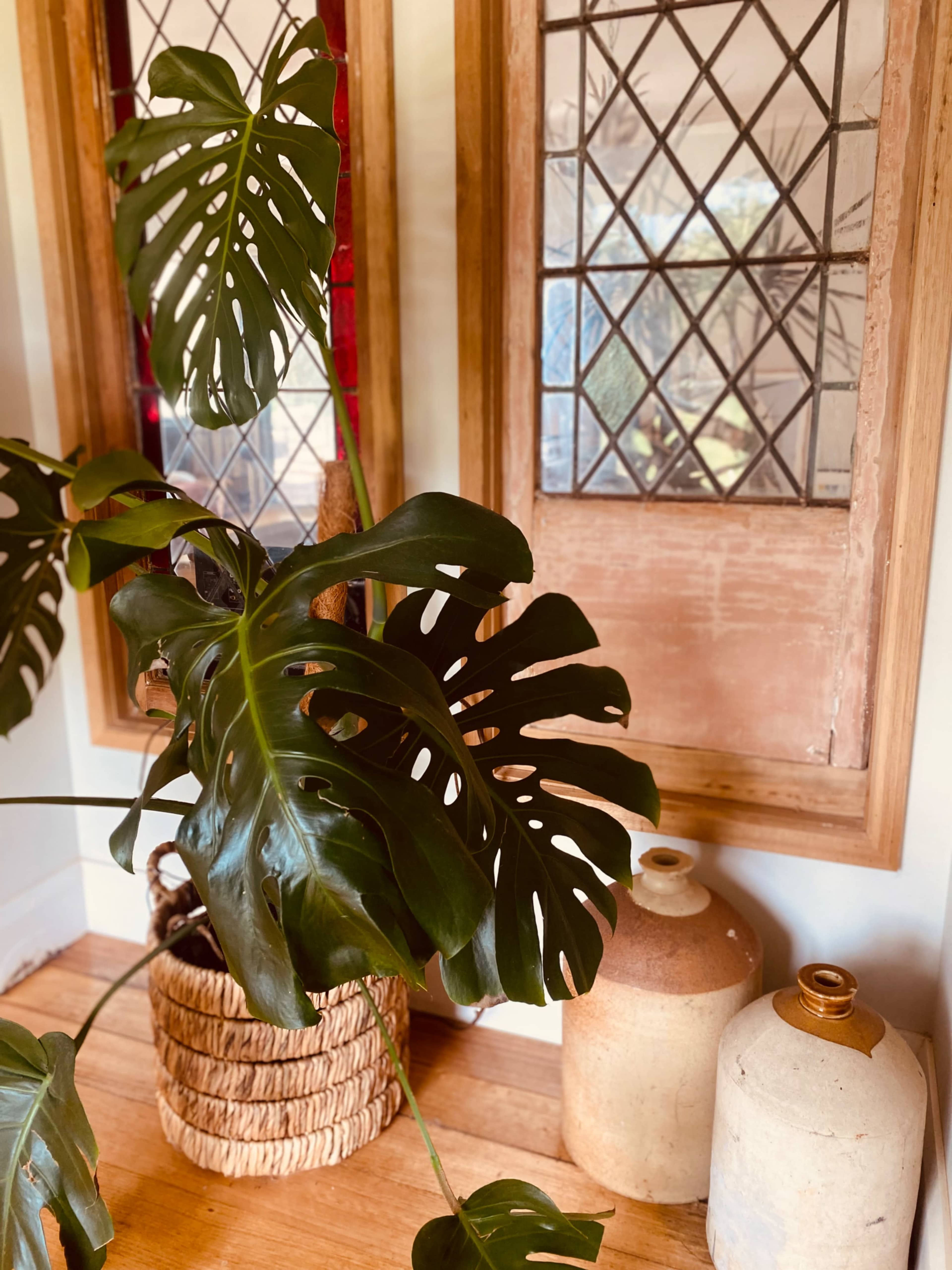 A large Monstera plant stands beside two ceramic jars and wooden-framed decorative panels with glass.