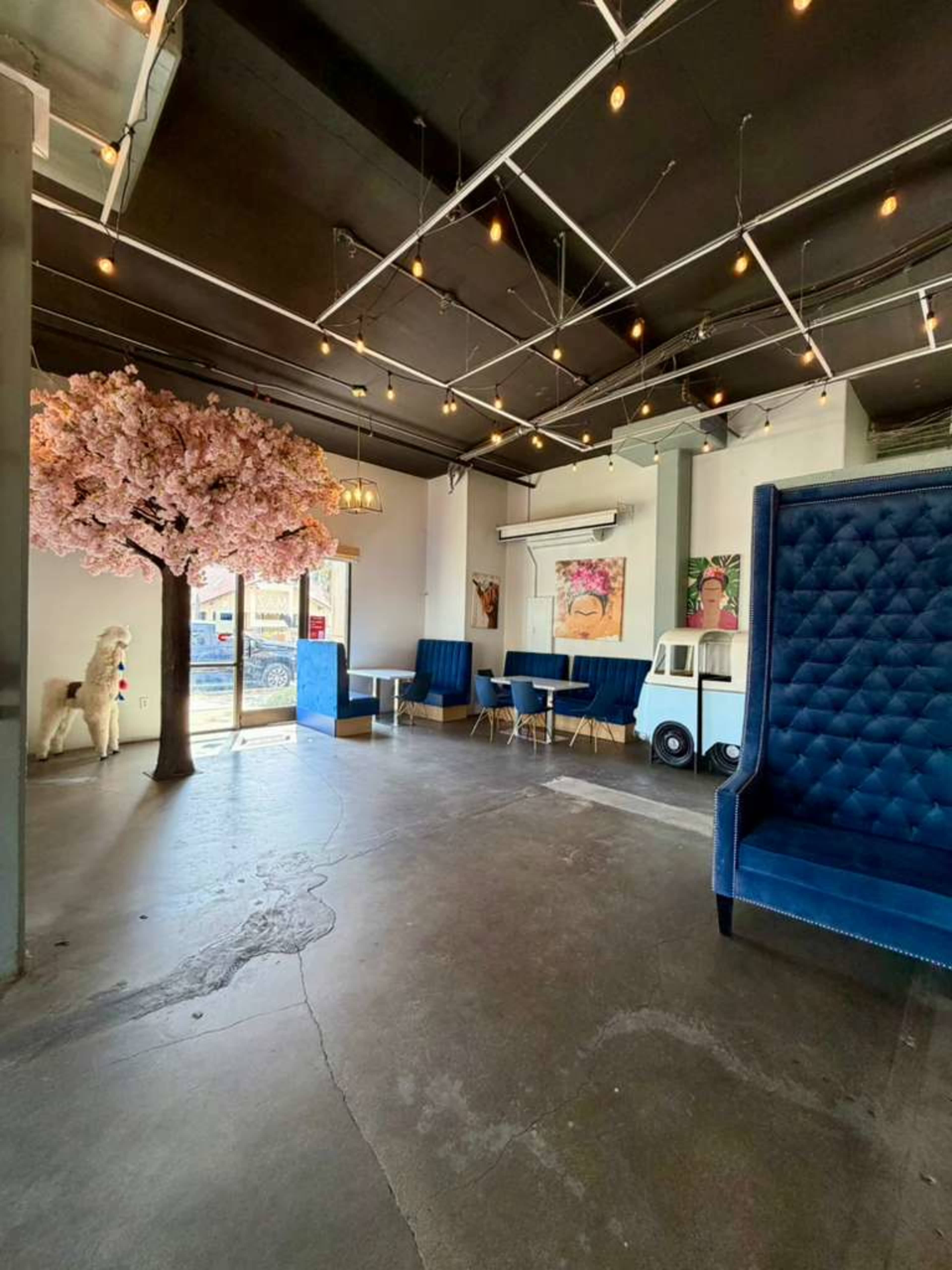 The image shows a modern café interior featuring a pink cherry blossom tree, blue cushioned seating, and decorative lighting.