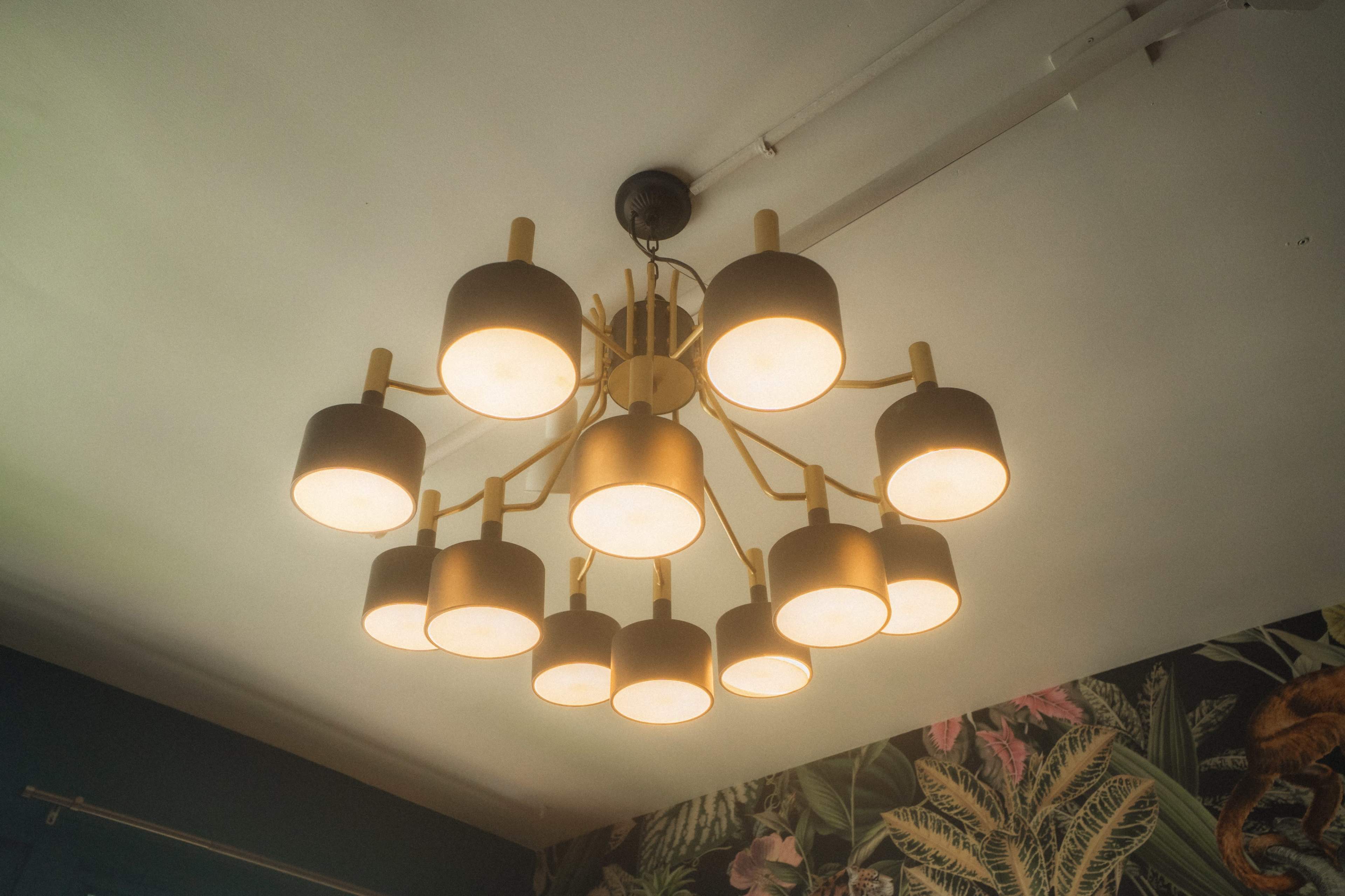 The Green Room – DTLA Studio with Piano, Vintage Décor & Botanical Walls Image in Central LA, Los Angeles, CA