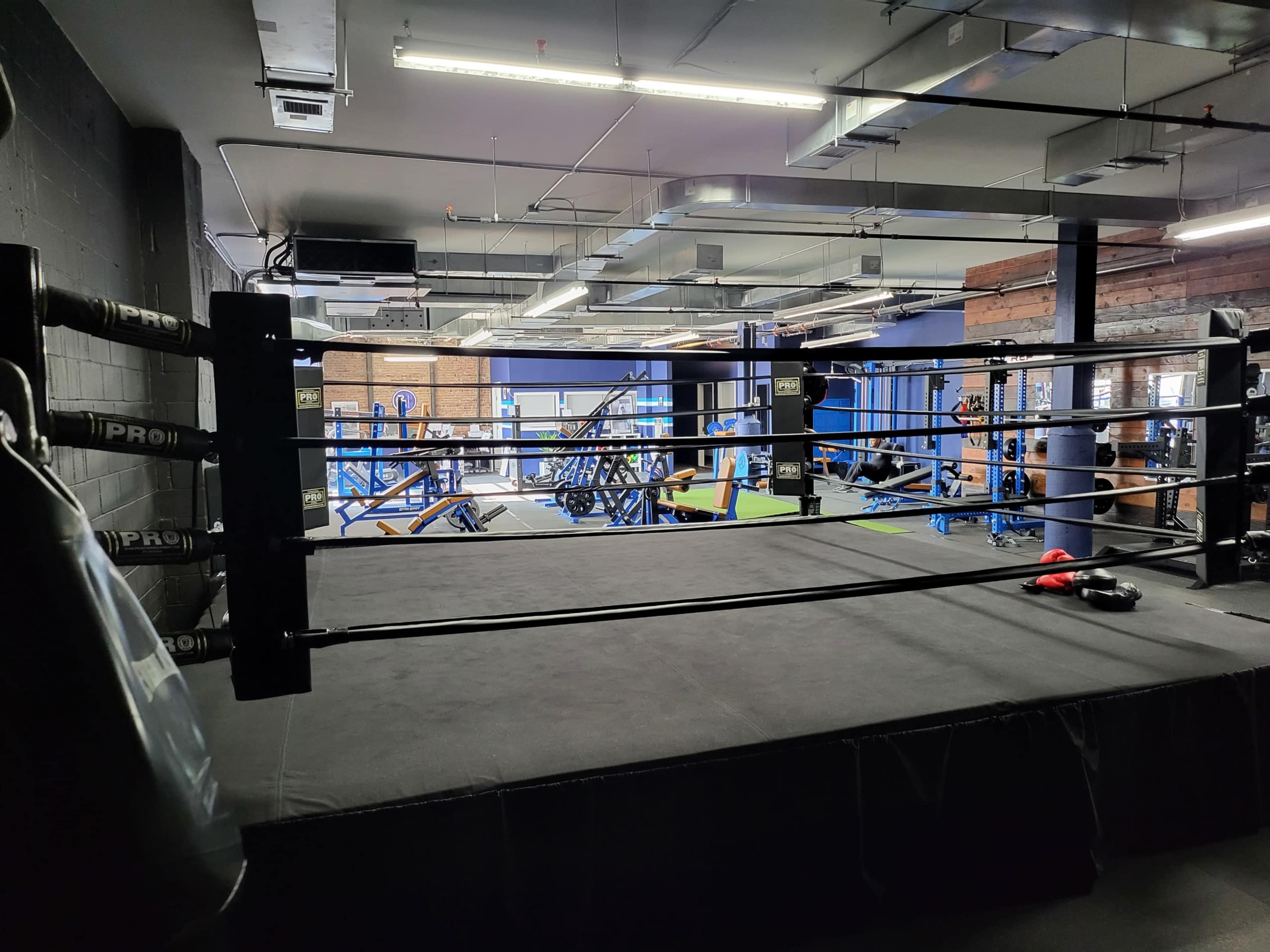 The image shows a boxing ring located in a gym, with various exercise equipment visible in the background.