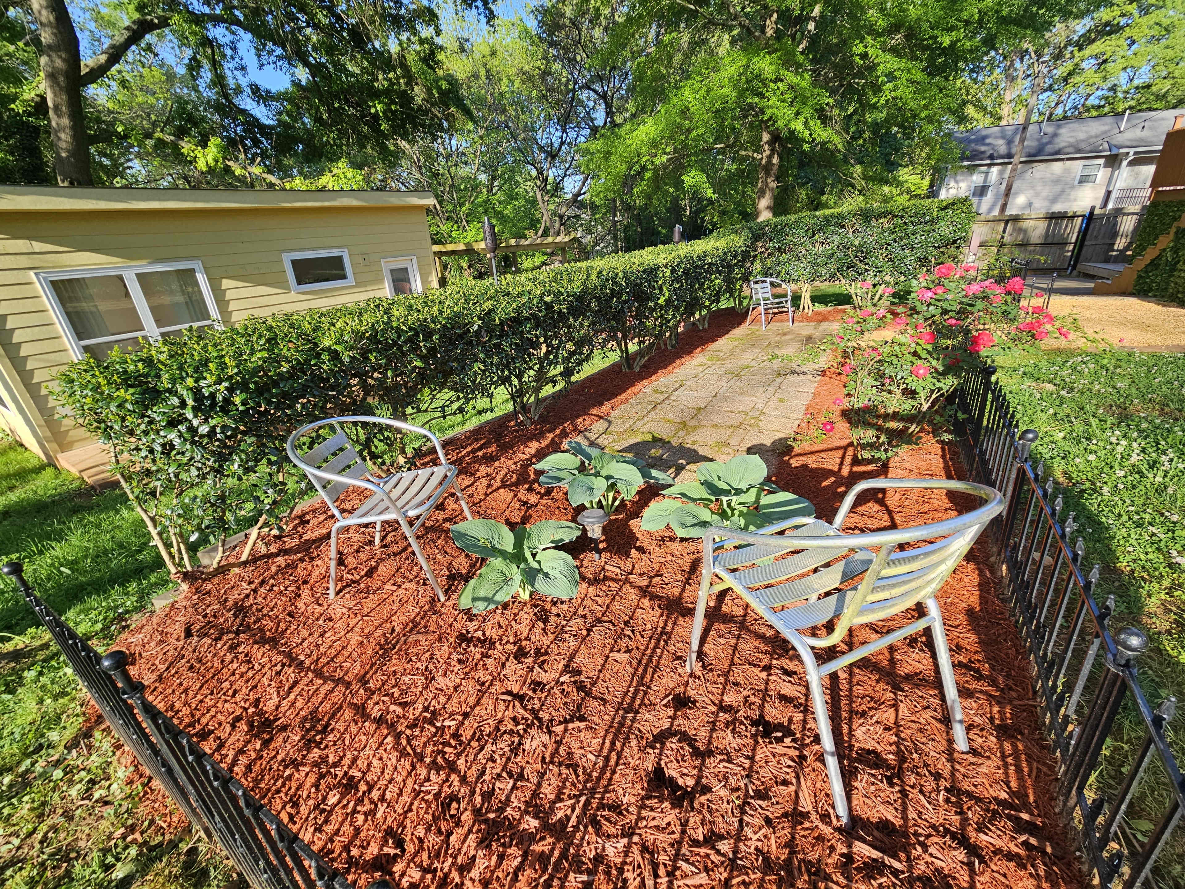 The image shows a small garden area with two white chairs positioned on mulch, surrounded by low hedges and green plants.