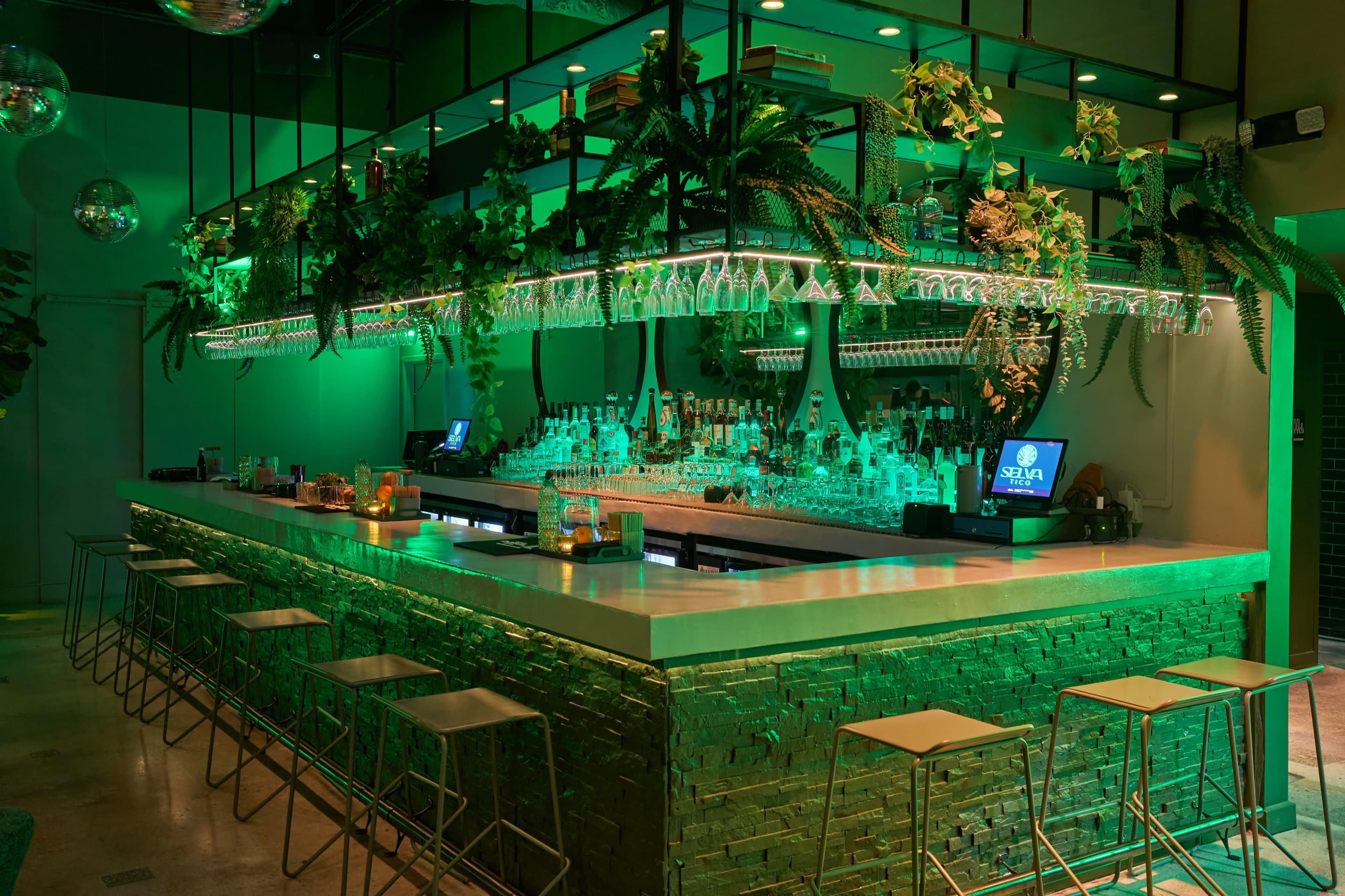 Jungle themed Oasis, with Bar and Lounge Image in Wynwood, Miami, FL