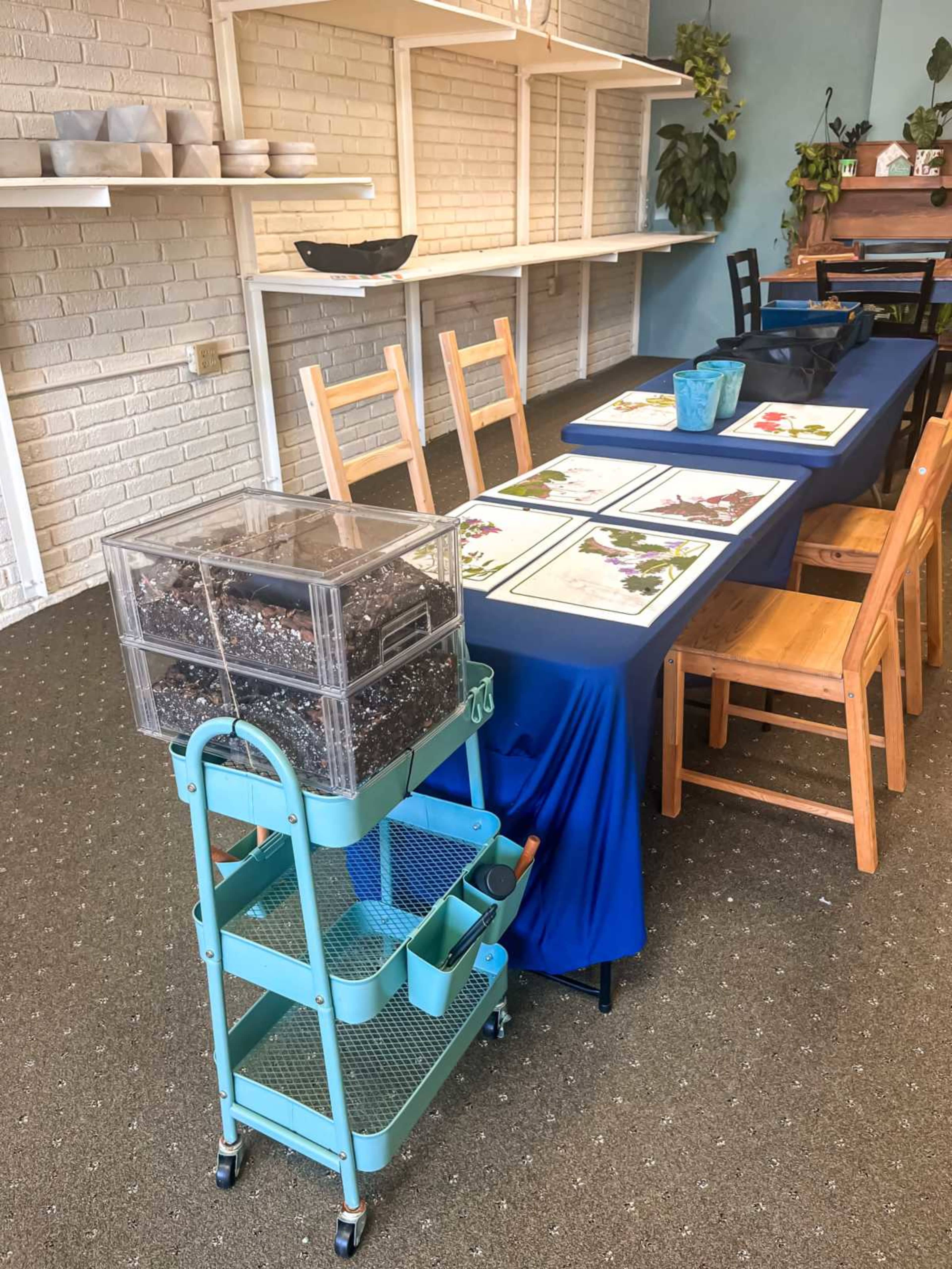 Downtown Plant and Floral Studio Image in Hendersonville, Hendersonville, NC