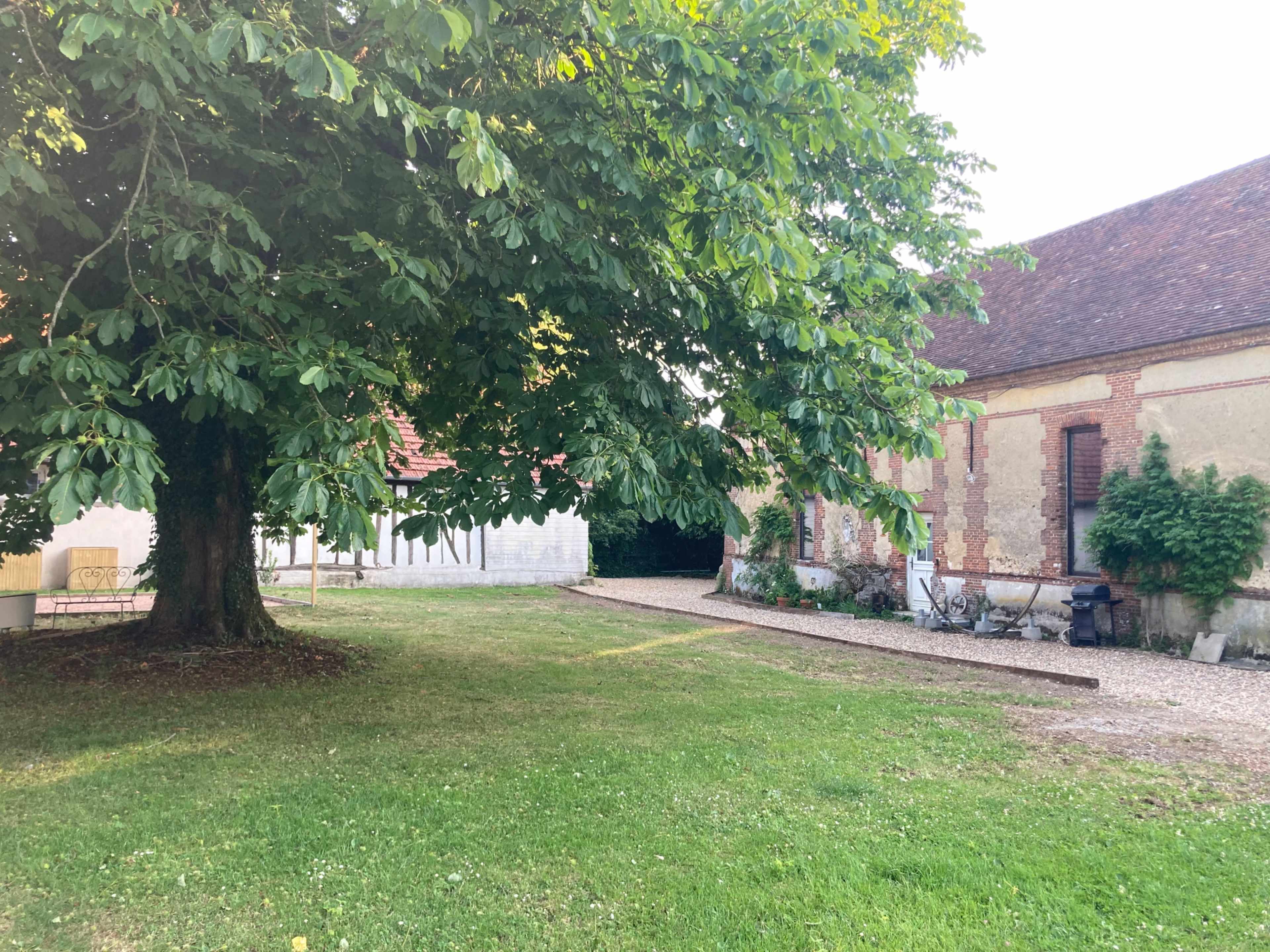A large tree stands in a grassy area beside a building with a brick facade and windows.