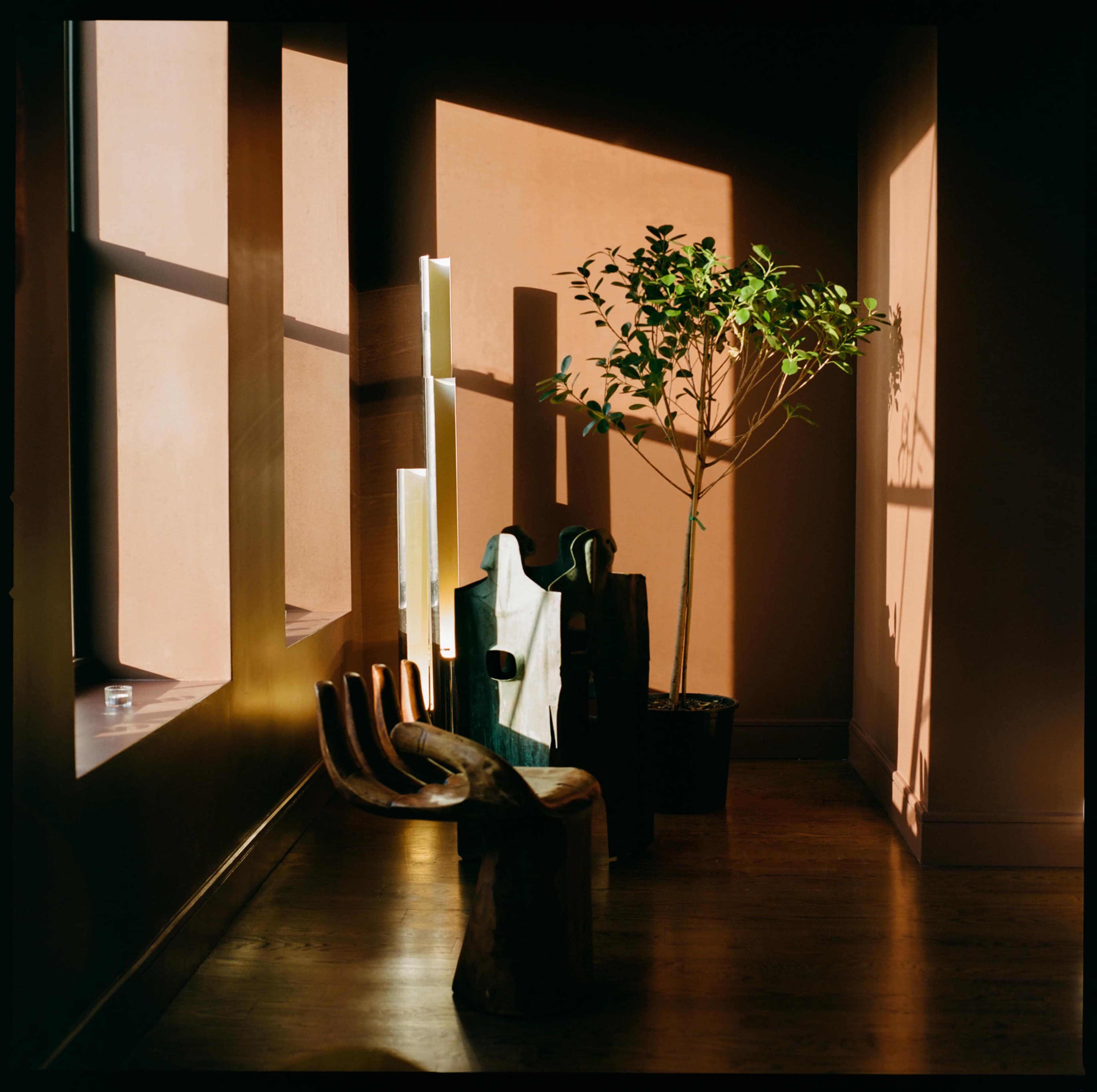 The scene features a dimly lit interior with a wooden sculpture, a potted plant, and light streaming through windows, casting shadows on the walls.