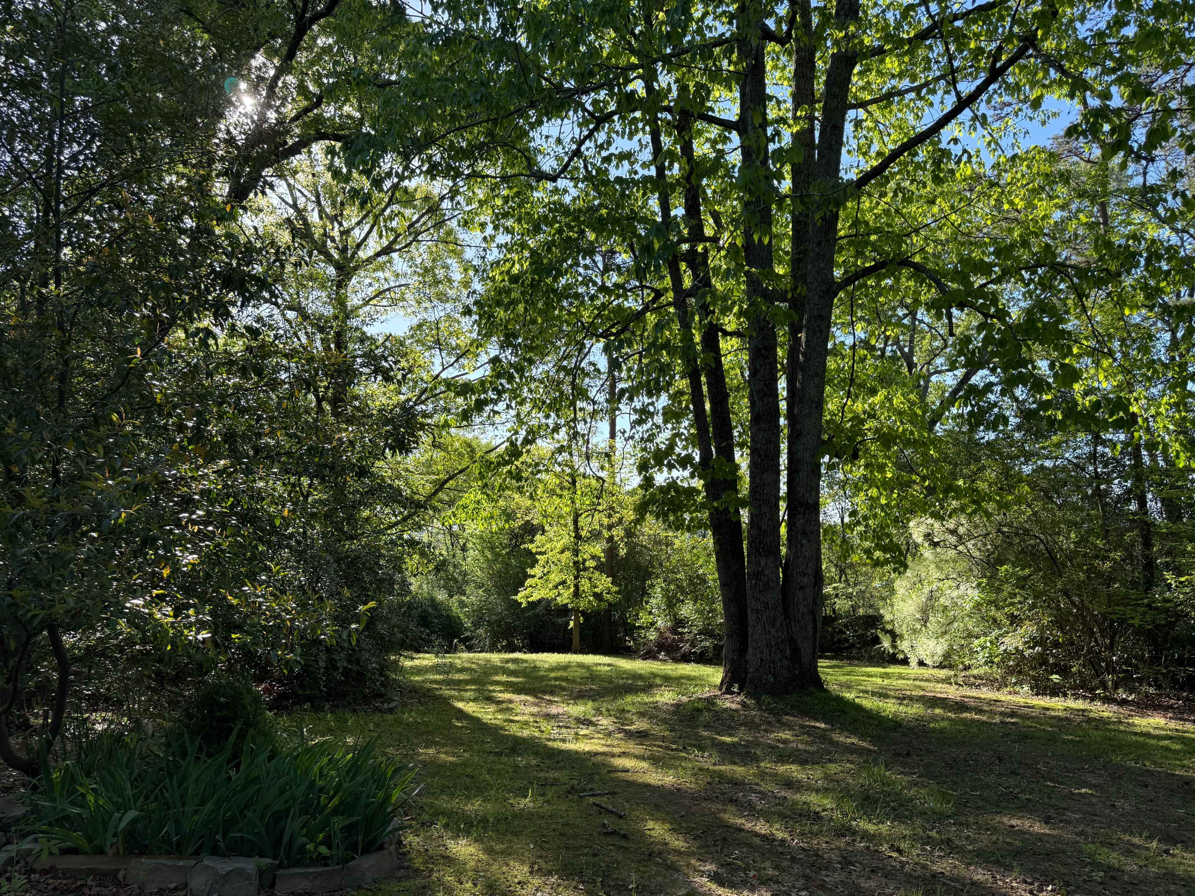 Secret Garden in Irondale Image in Irondale, Birmingham, AL