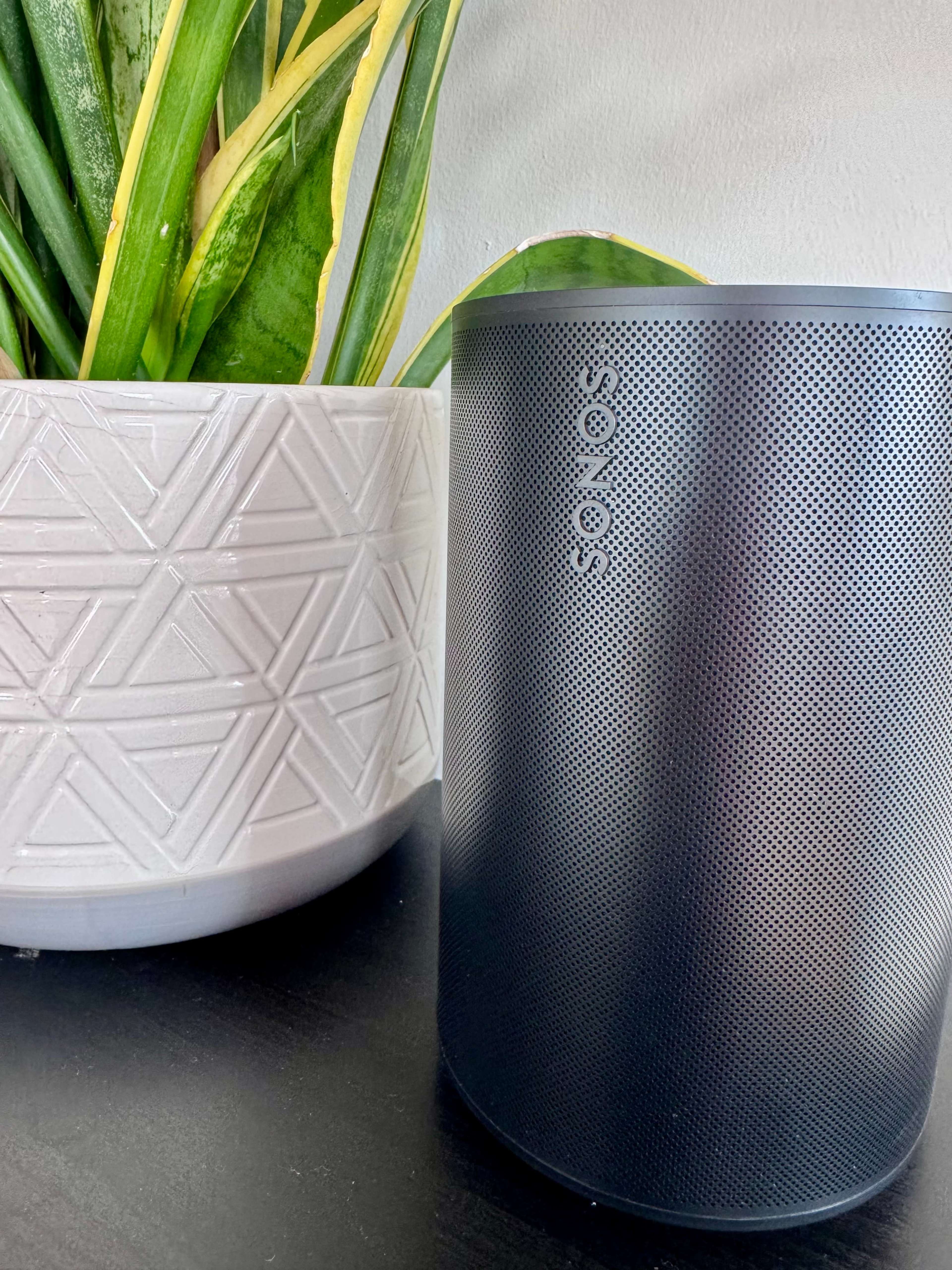 A black smart speaker is positioned next to a textured white planter containing a green plant.