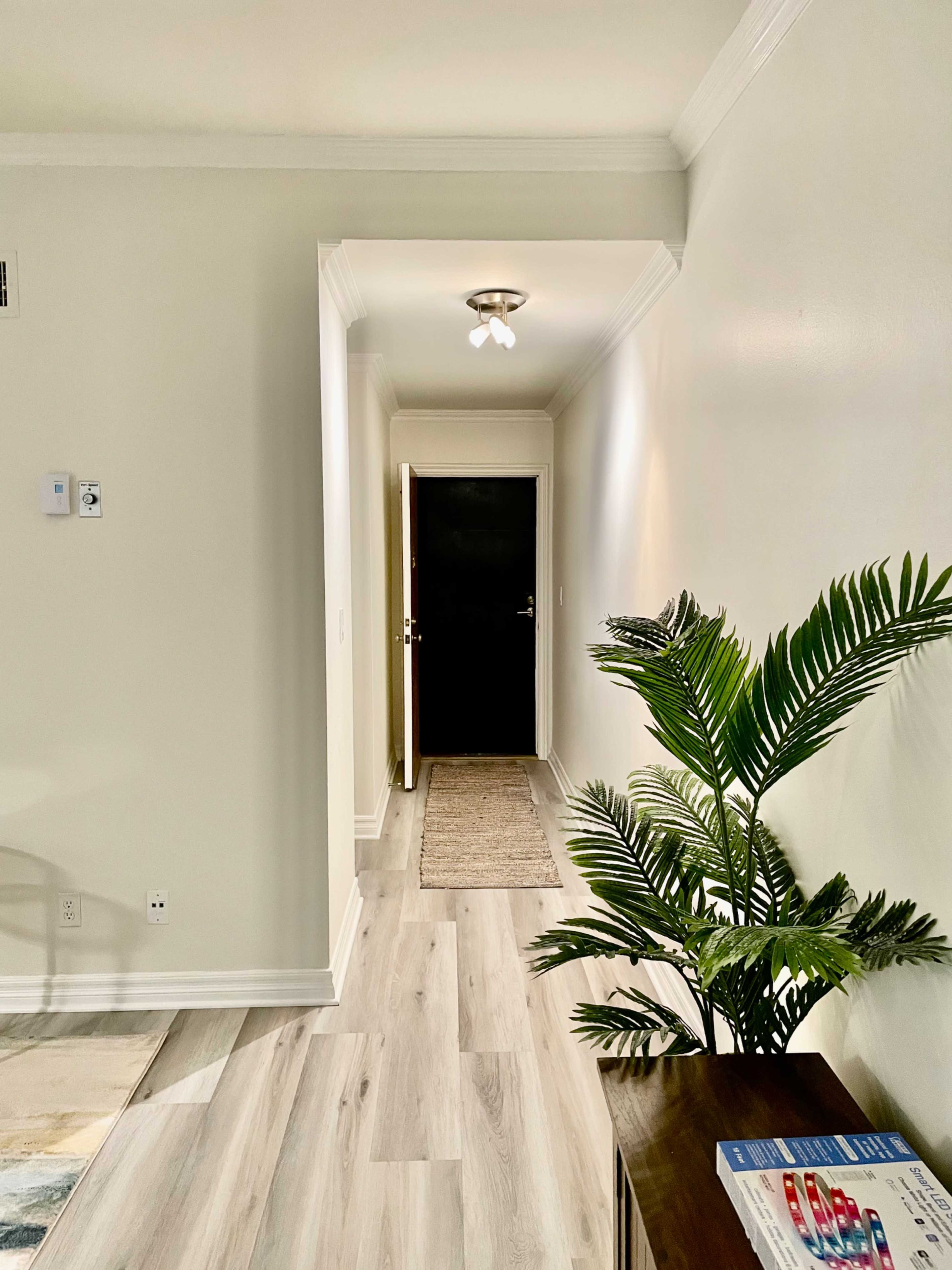 A hallway leading to a black door, with light-colored walls, wooden flooring, and a green plant in the foreground.