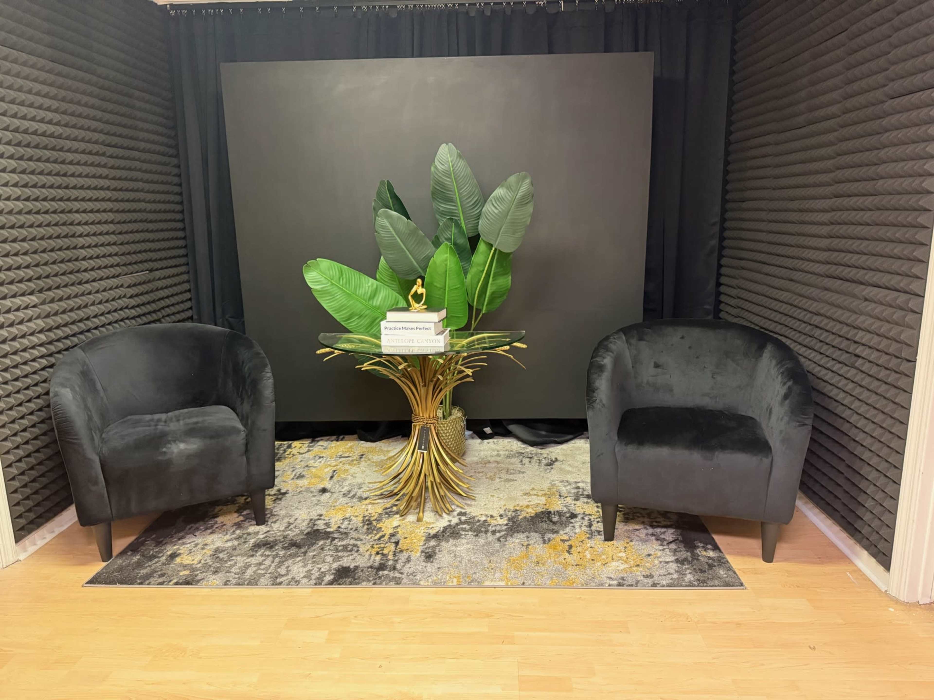 The image shows a small interior space featuring two black upholstered chairs flanking a decorative plant stand with large green leaves, set against a black backdrop.