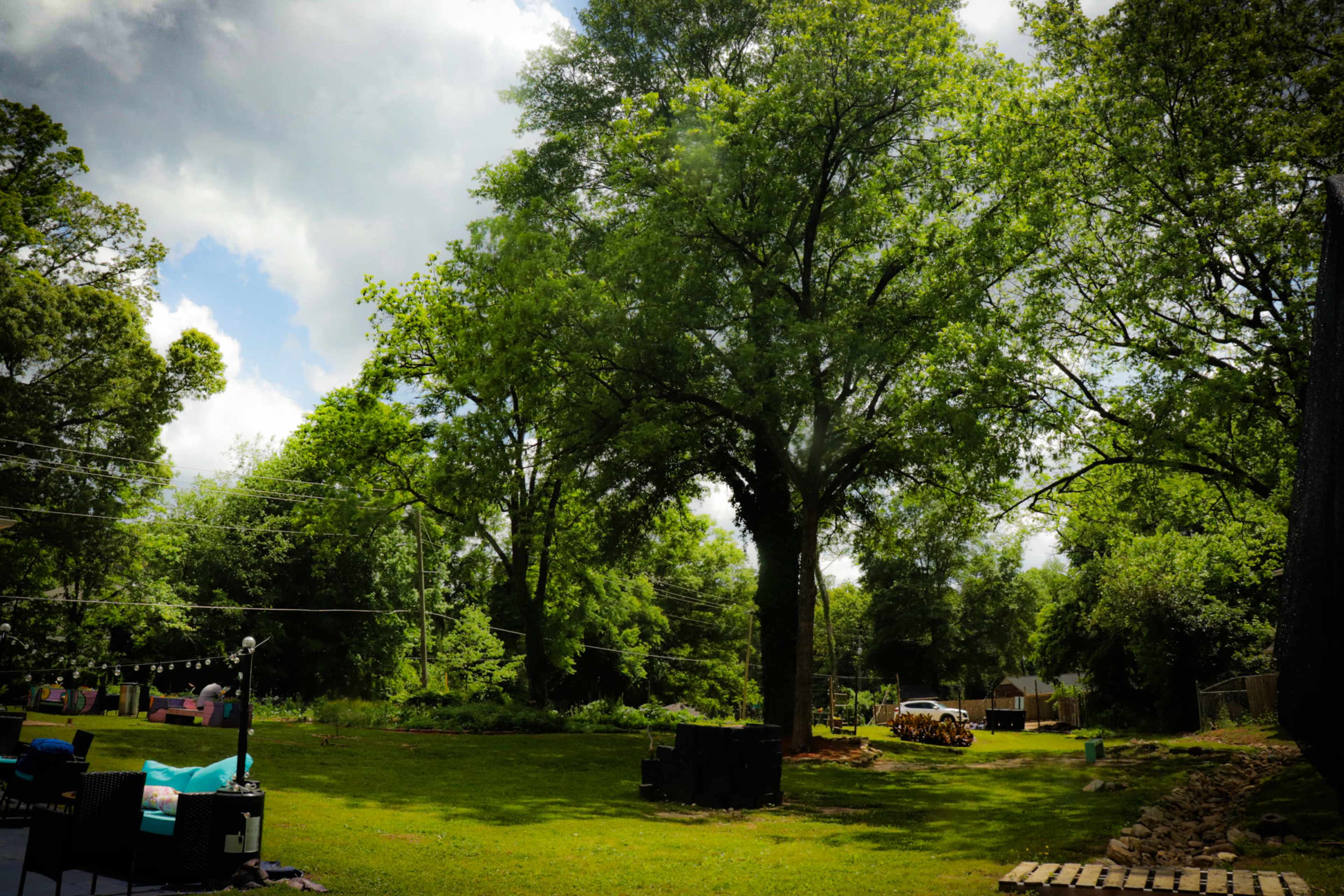 The image shows a green backyard with large trees, a few scattered chairs, and a distant view of a parked vehicle on a gravel path.