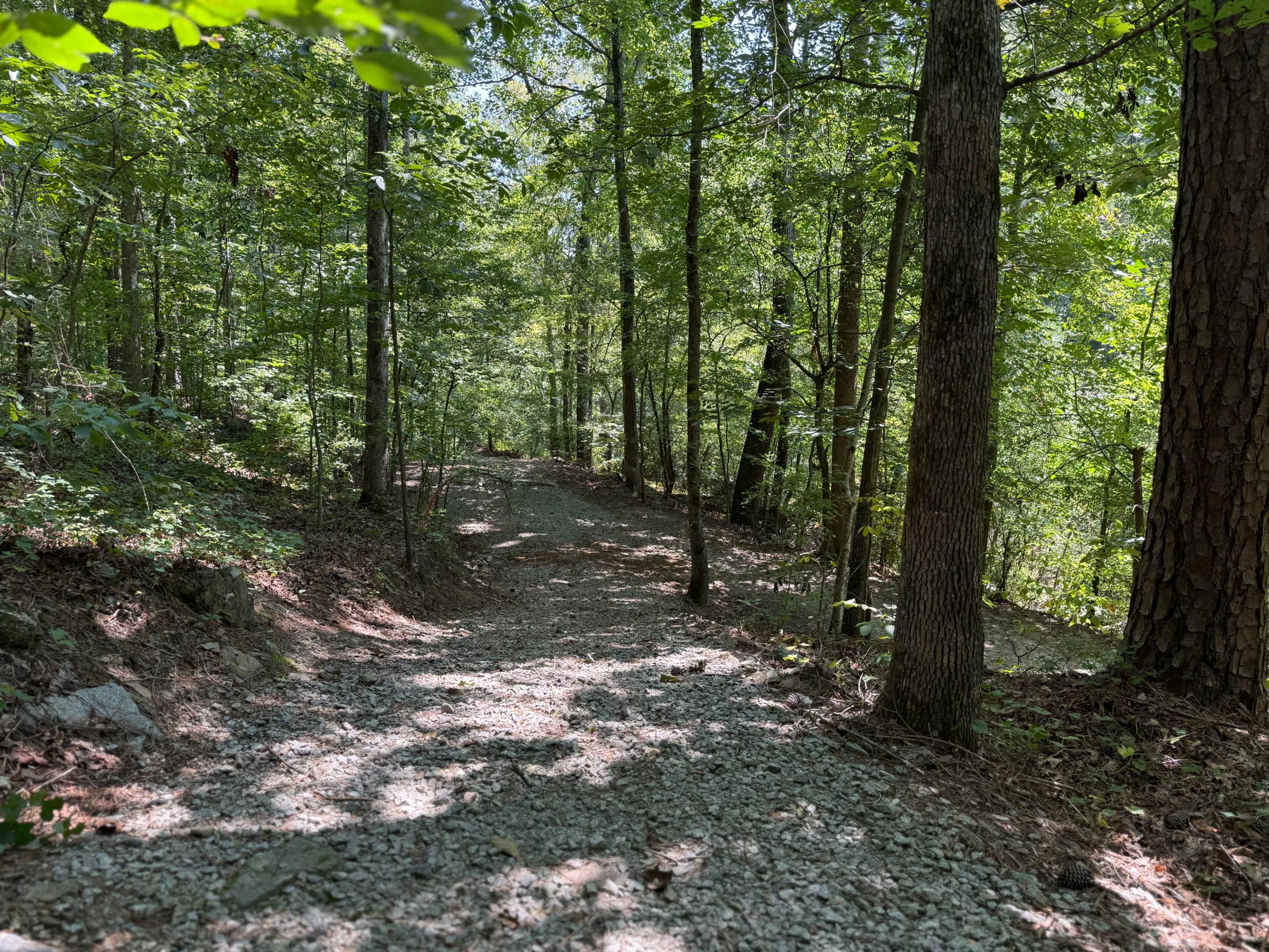 Serene Waterfall and Lake views Photoshoots Image in , Douglasville, GA