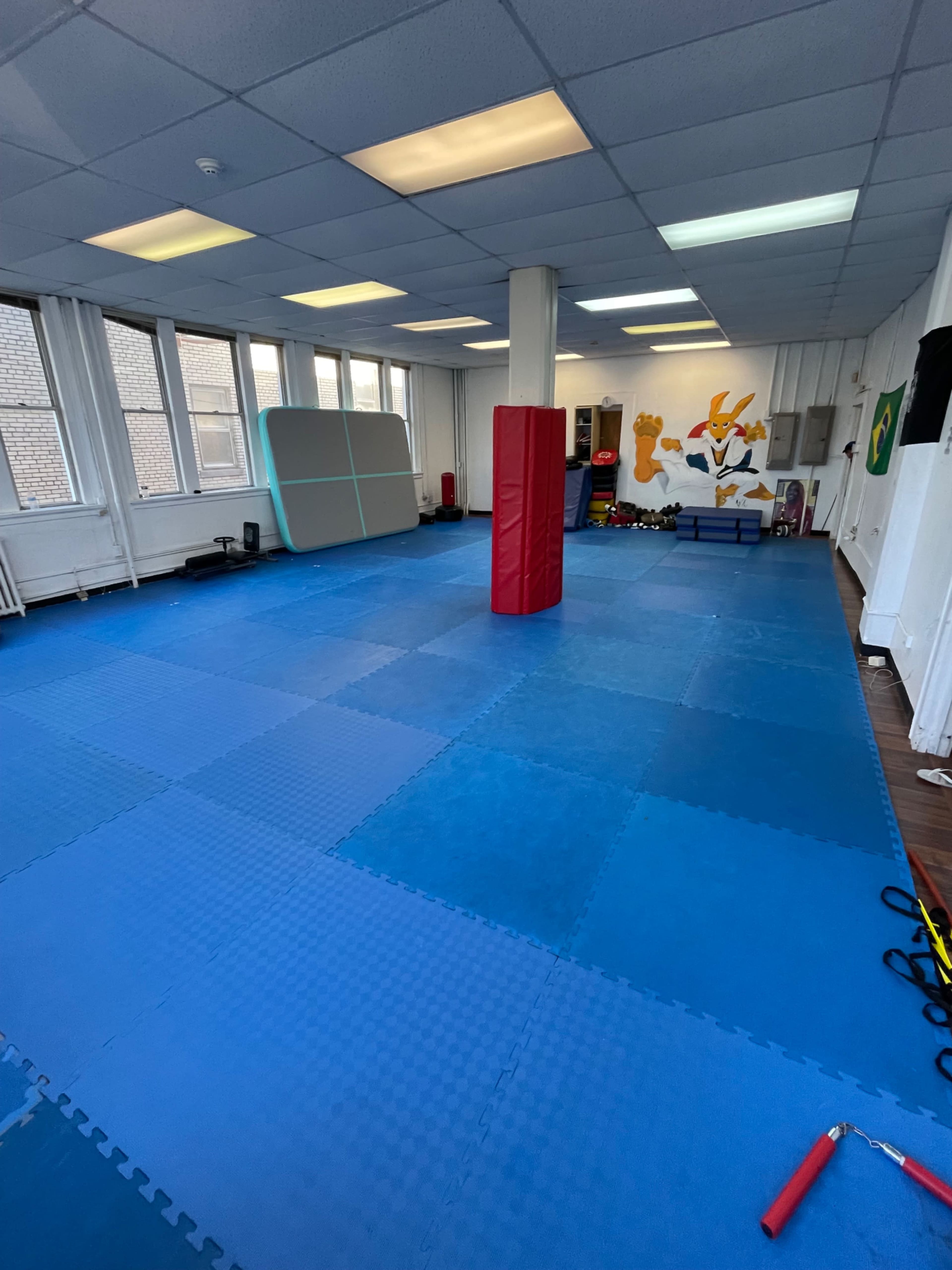 The image shows a spacious training room with blue mat flooring, a red padded striking bag, and a mural on the wall featuring a cartoon character.