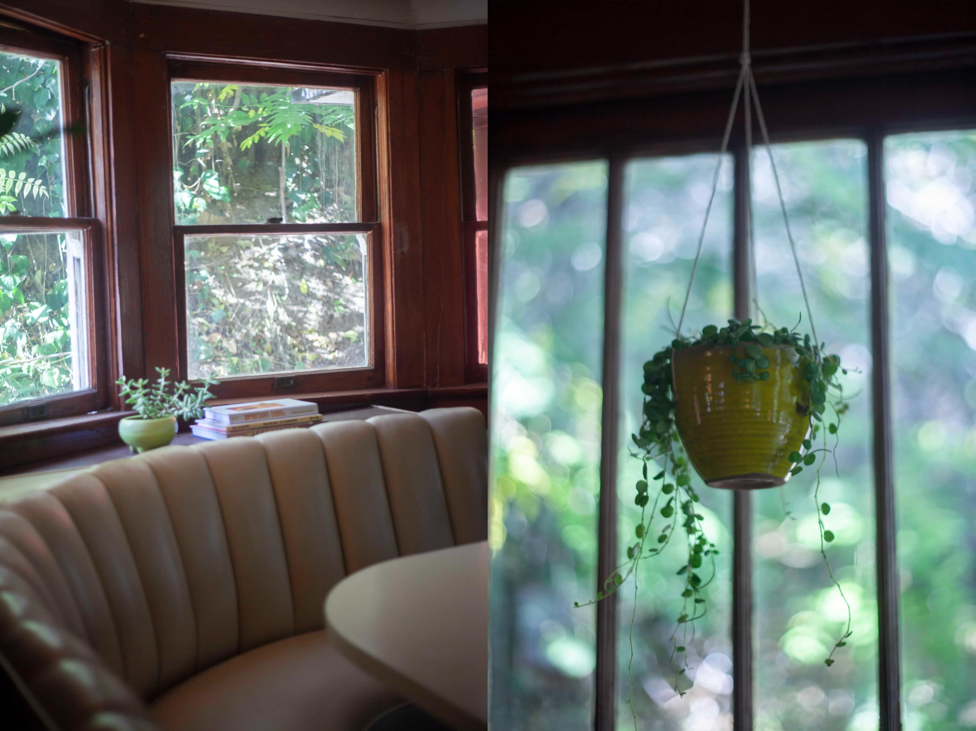 A cozy room with a curved seating area and large windows overlooking greenery, along with a hanging plant in a yellow pot.