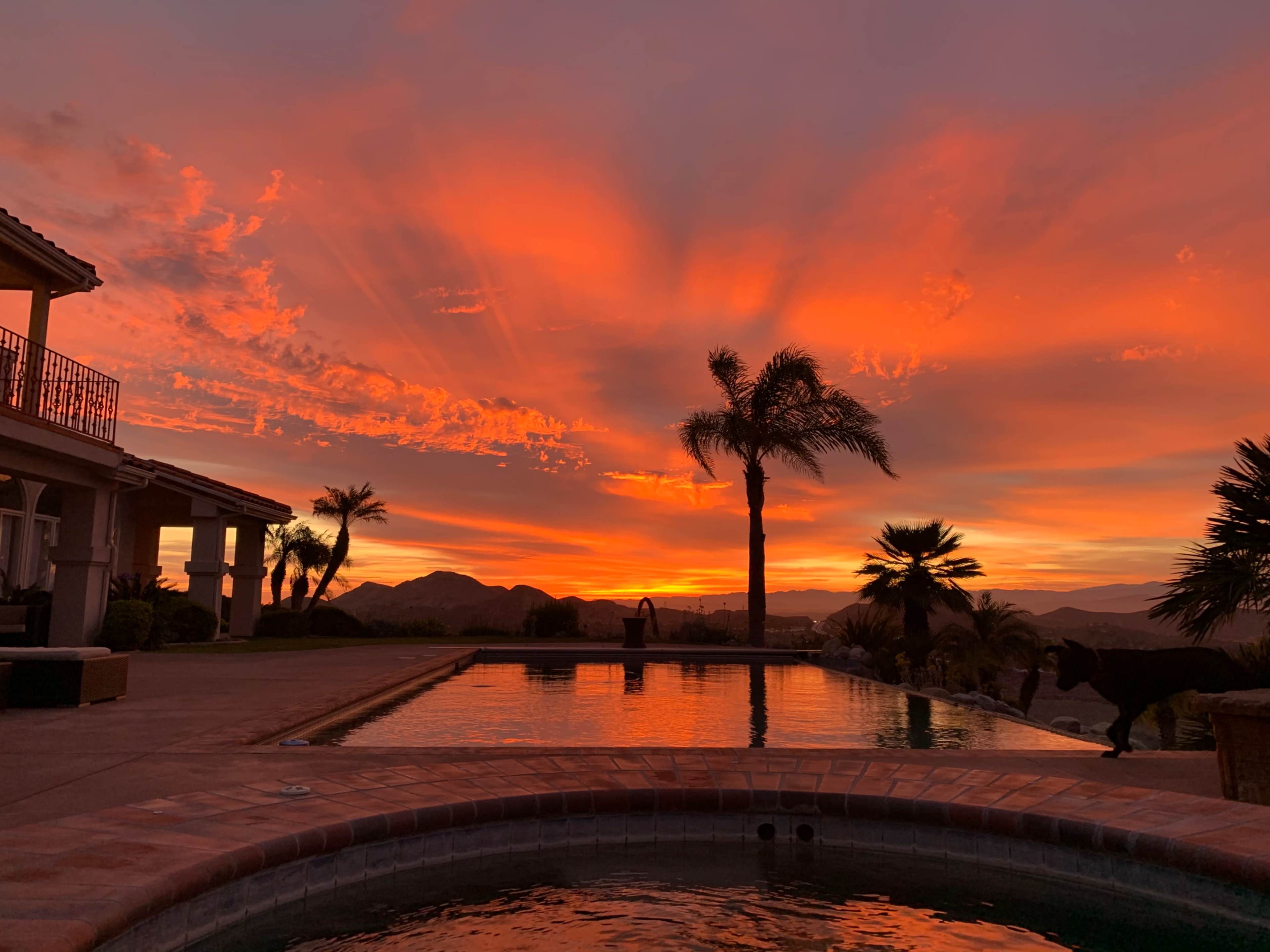 A vibrant sunset casts orange and red hues over a poolside scene with palm trees and mountains in the background.