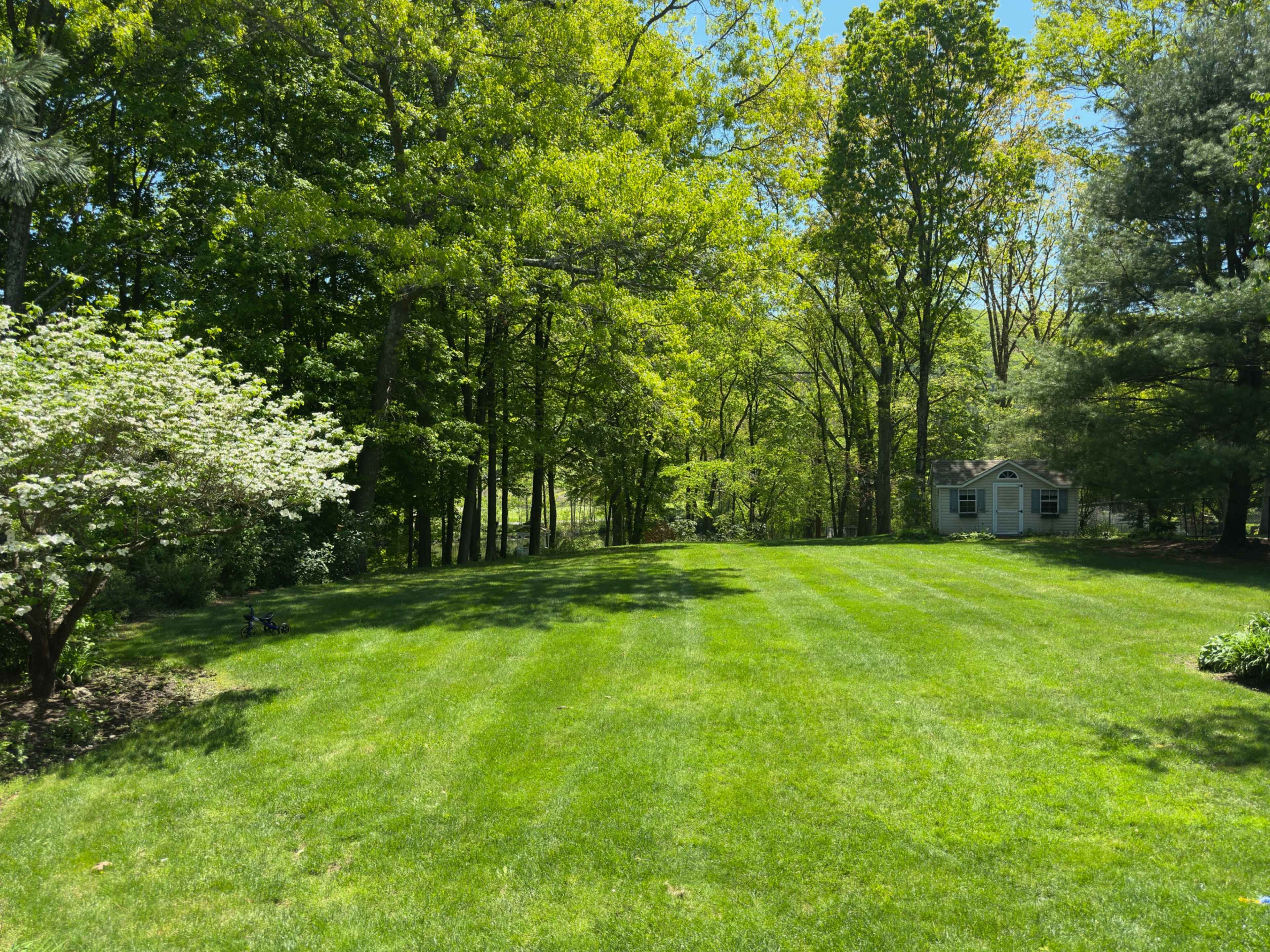 Serenity Lake Events Image in Oak Ridge, Oak Ridge, NJ