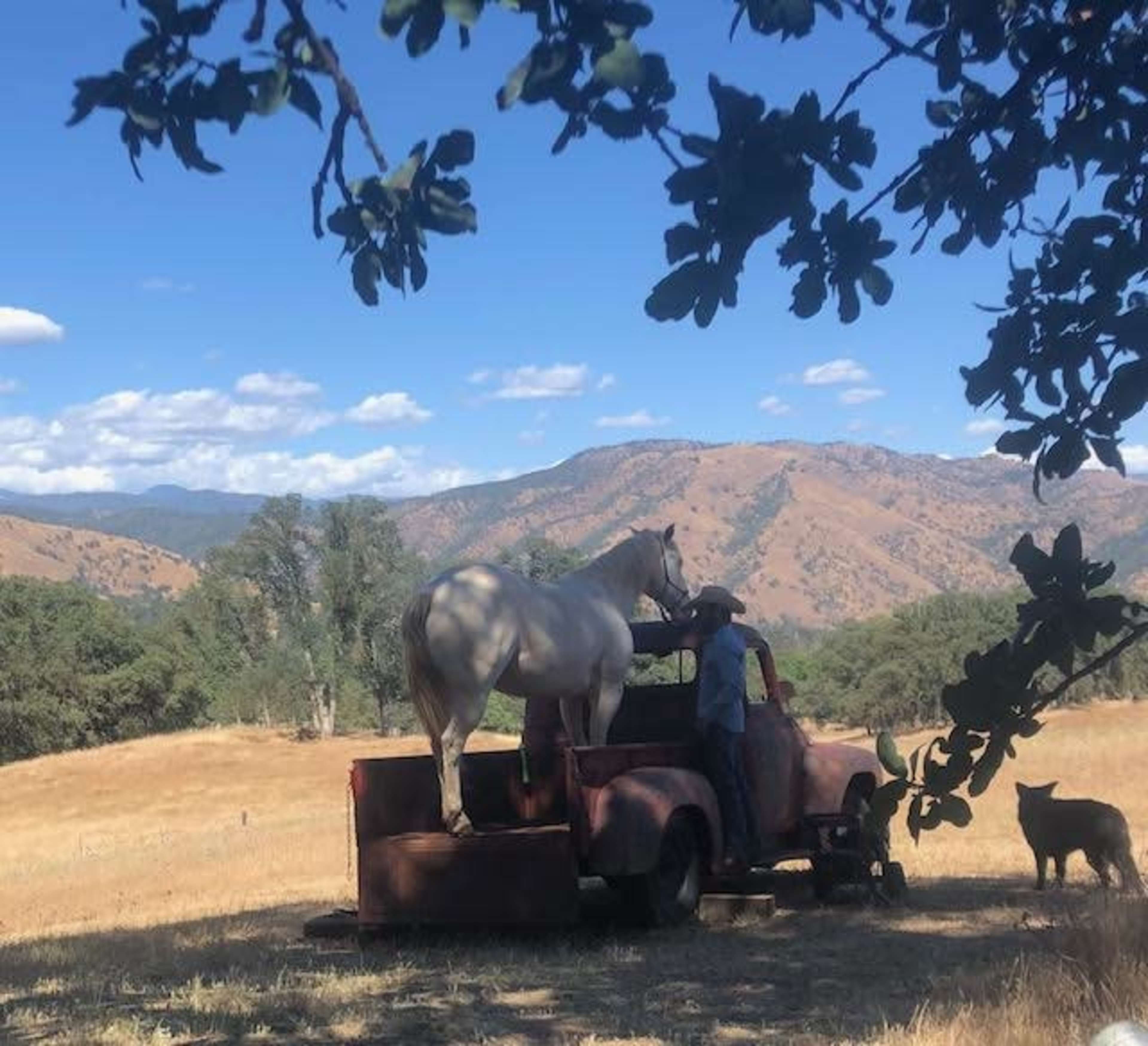 Stunning 87- Acre Ranch Ideal for Photoshoots, Video Shoots and Events. Image in , Tollhouse, CA