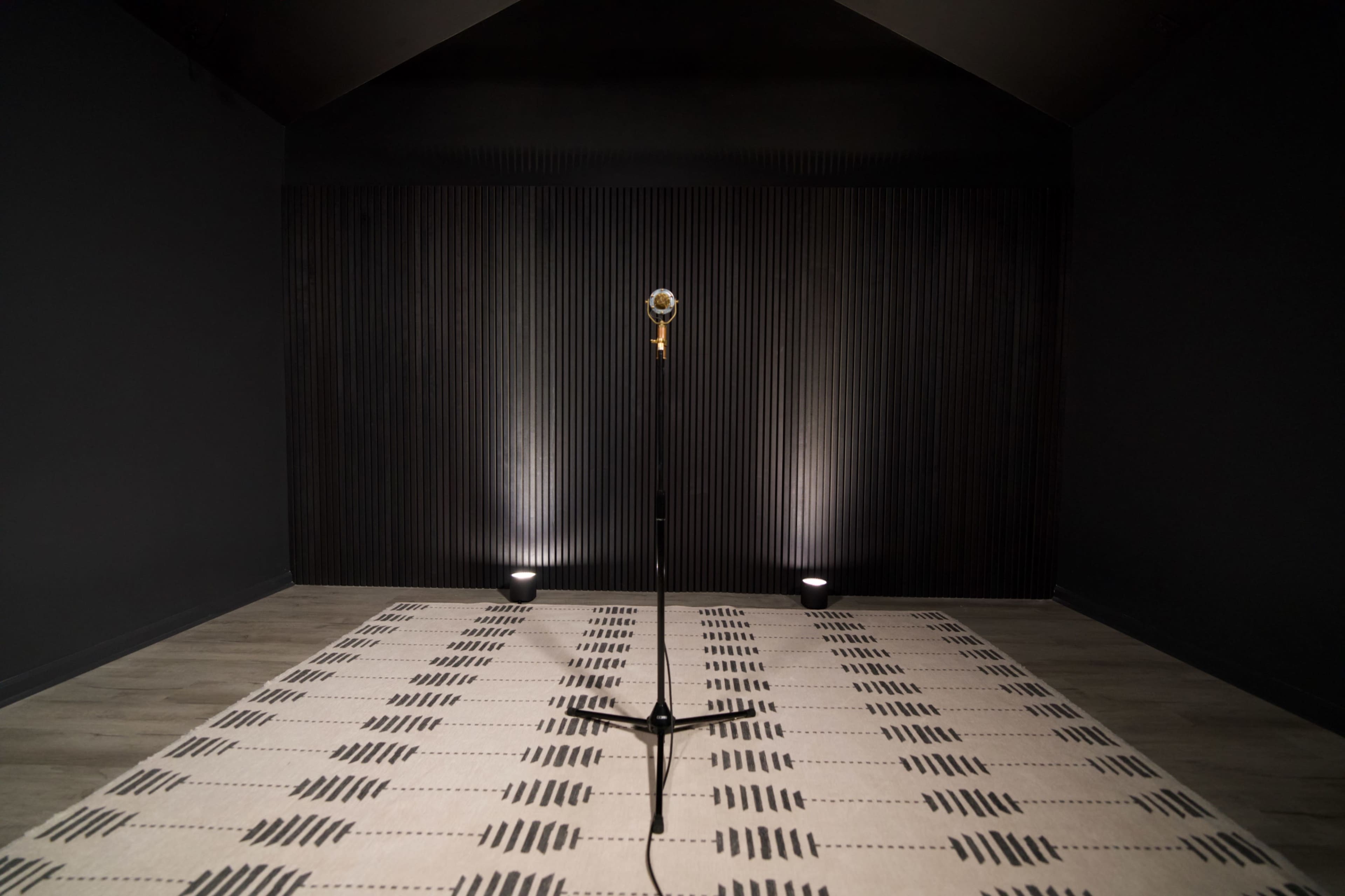 A microphone stands on a black microphone stand in an empty, dimly lit room with dark walls and a patterned rug.