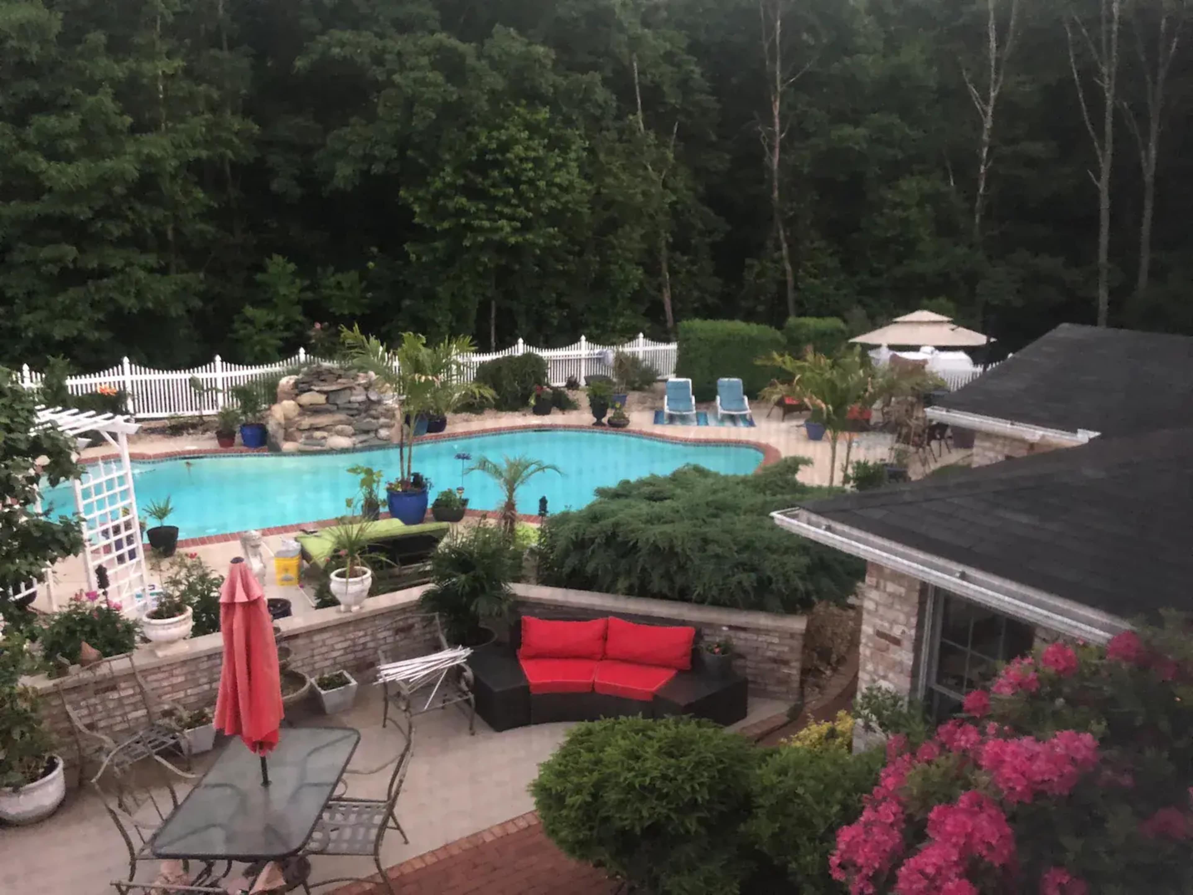 The image shows a backyard with a swimming pool surrounded by greenery, patio furniture, and decorative plants.