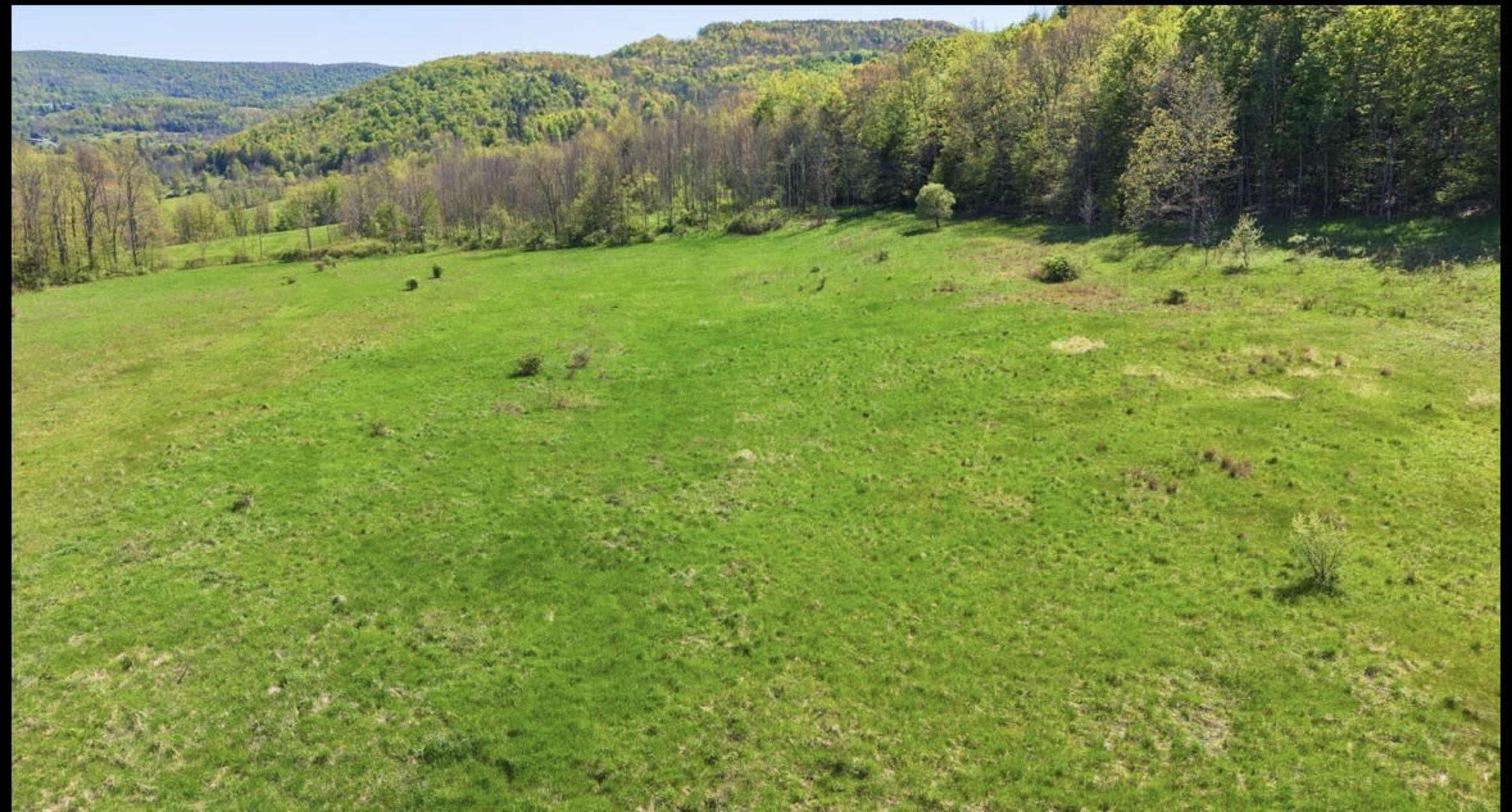 A wide, grassy field is surrounded by wooded hills under a clear sky.
