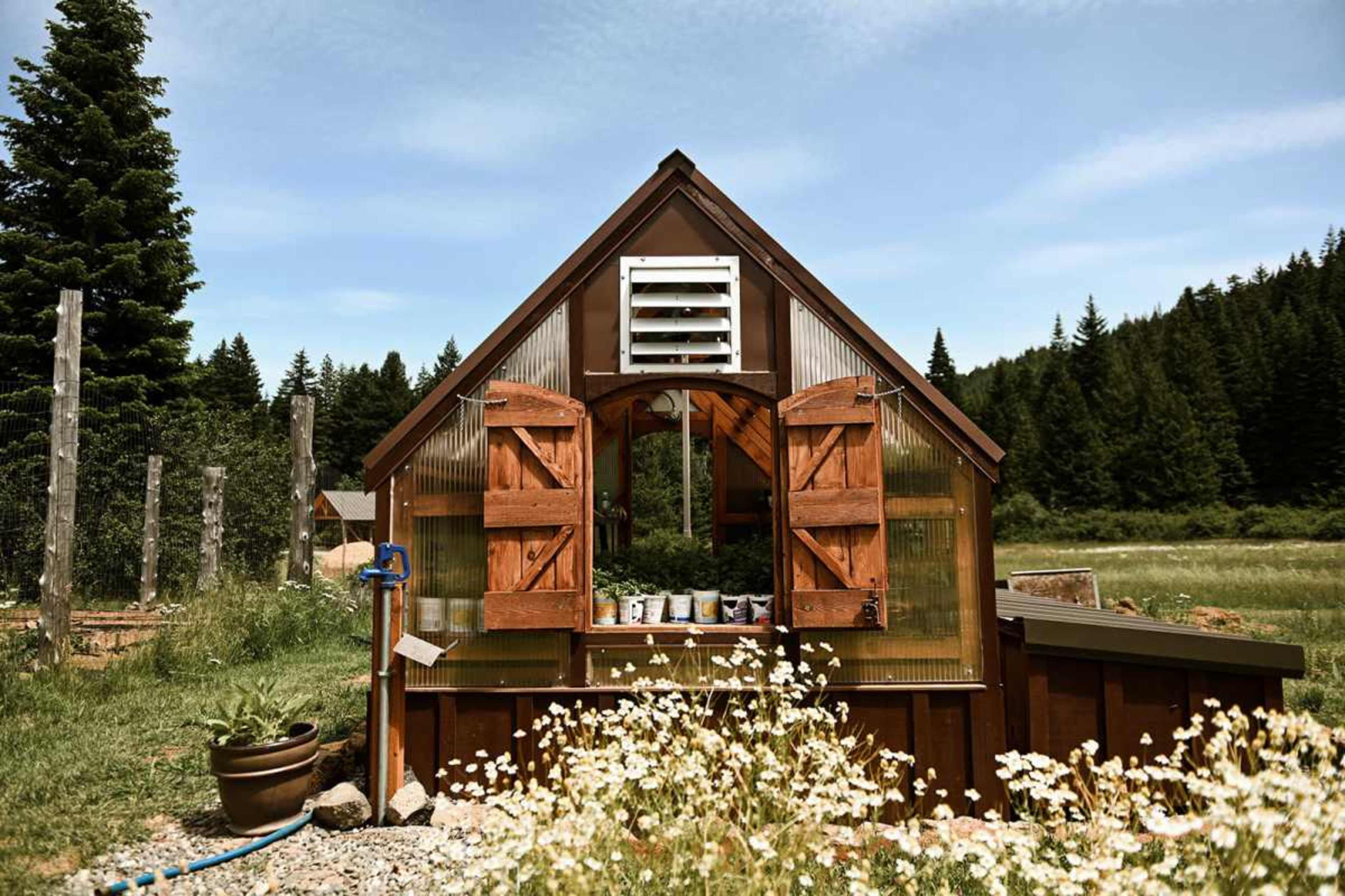 A wooden greenhouse with open shutters sits in a grassy field surrounded by trees and wildflowers.