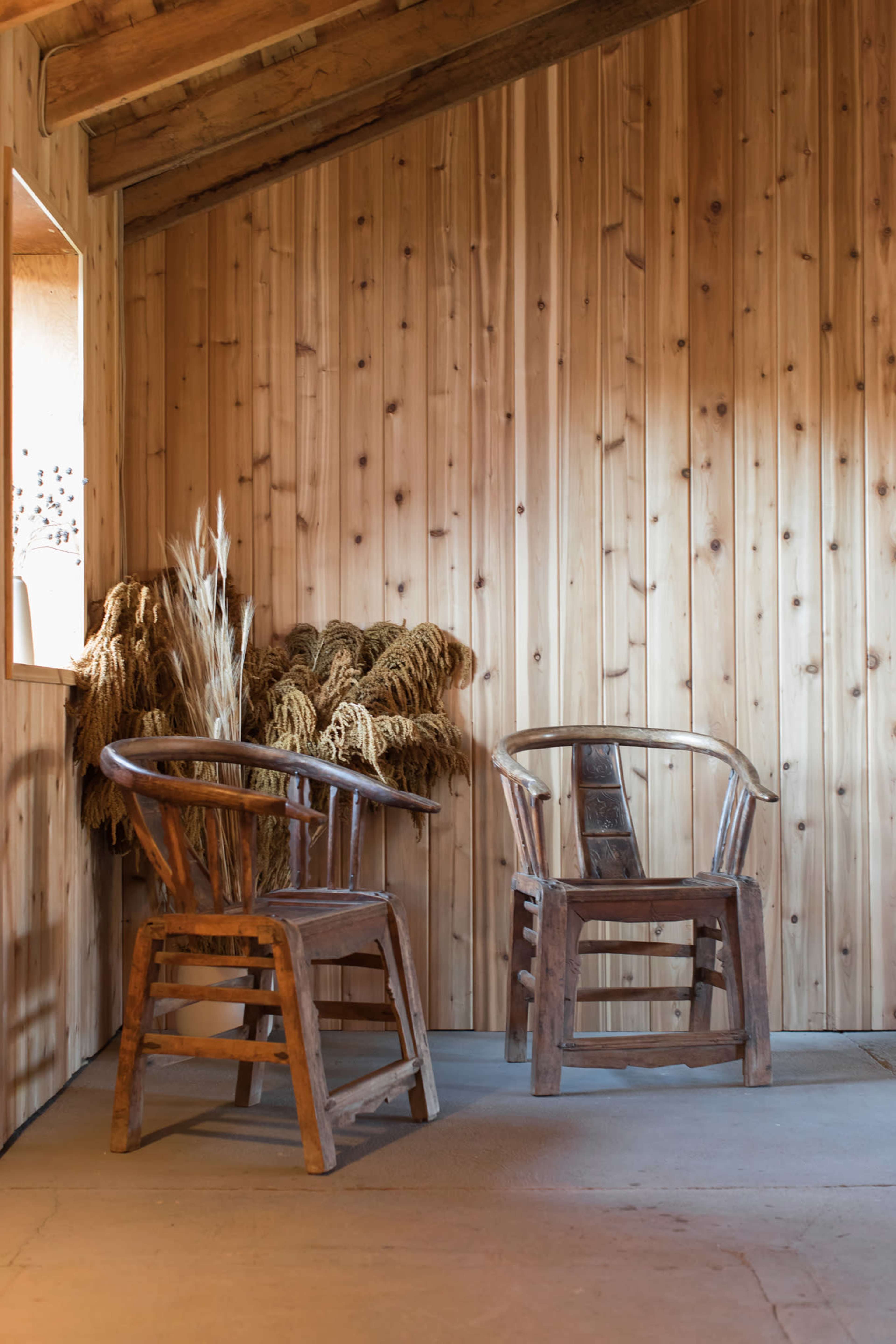 Two wooden chairs are positioned in a room with a slatted wooden wall, accompanied by dried plants in the corner.