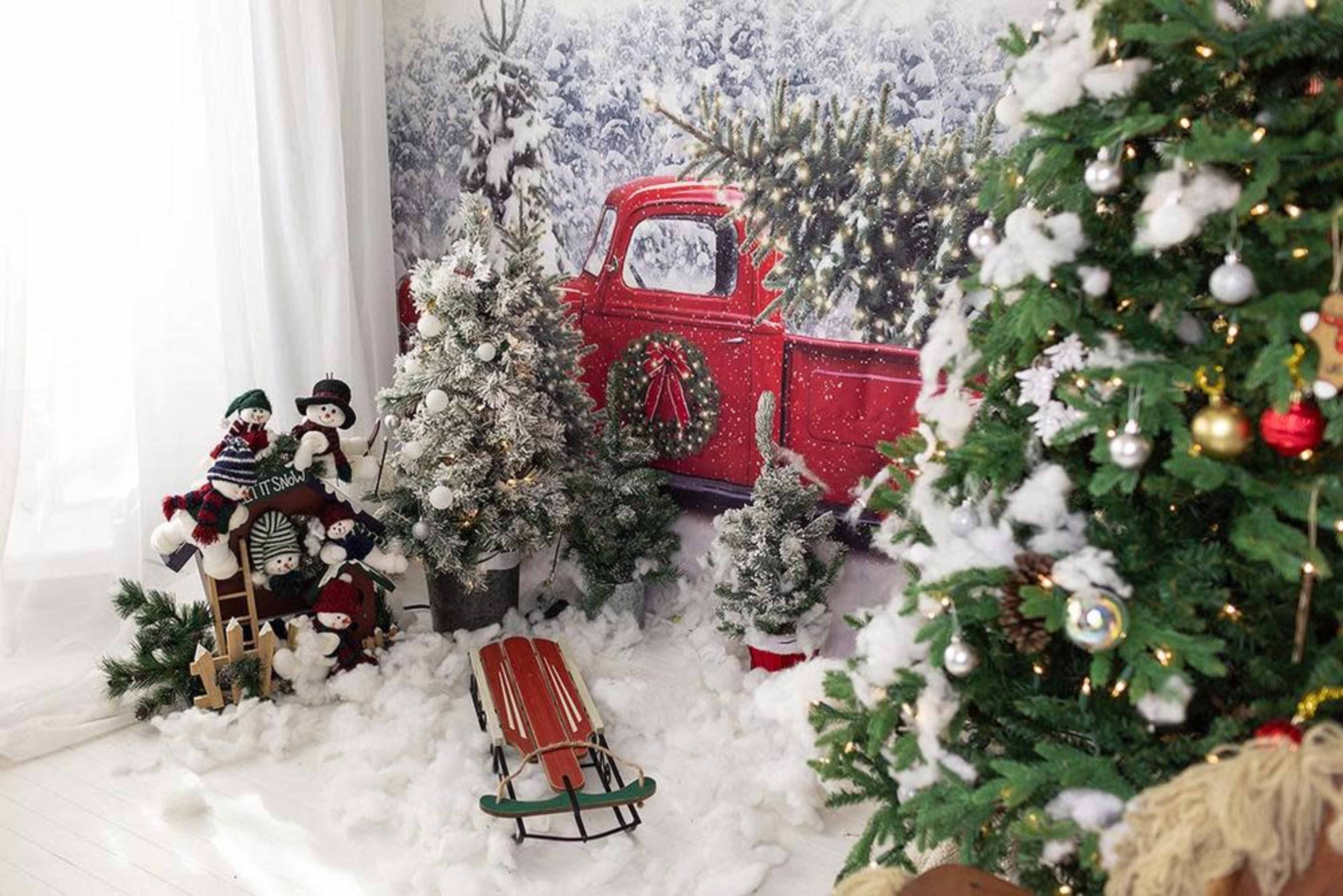 Christmas Photo Studio Image in Franklin Farm, Fairfax, VA