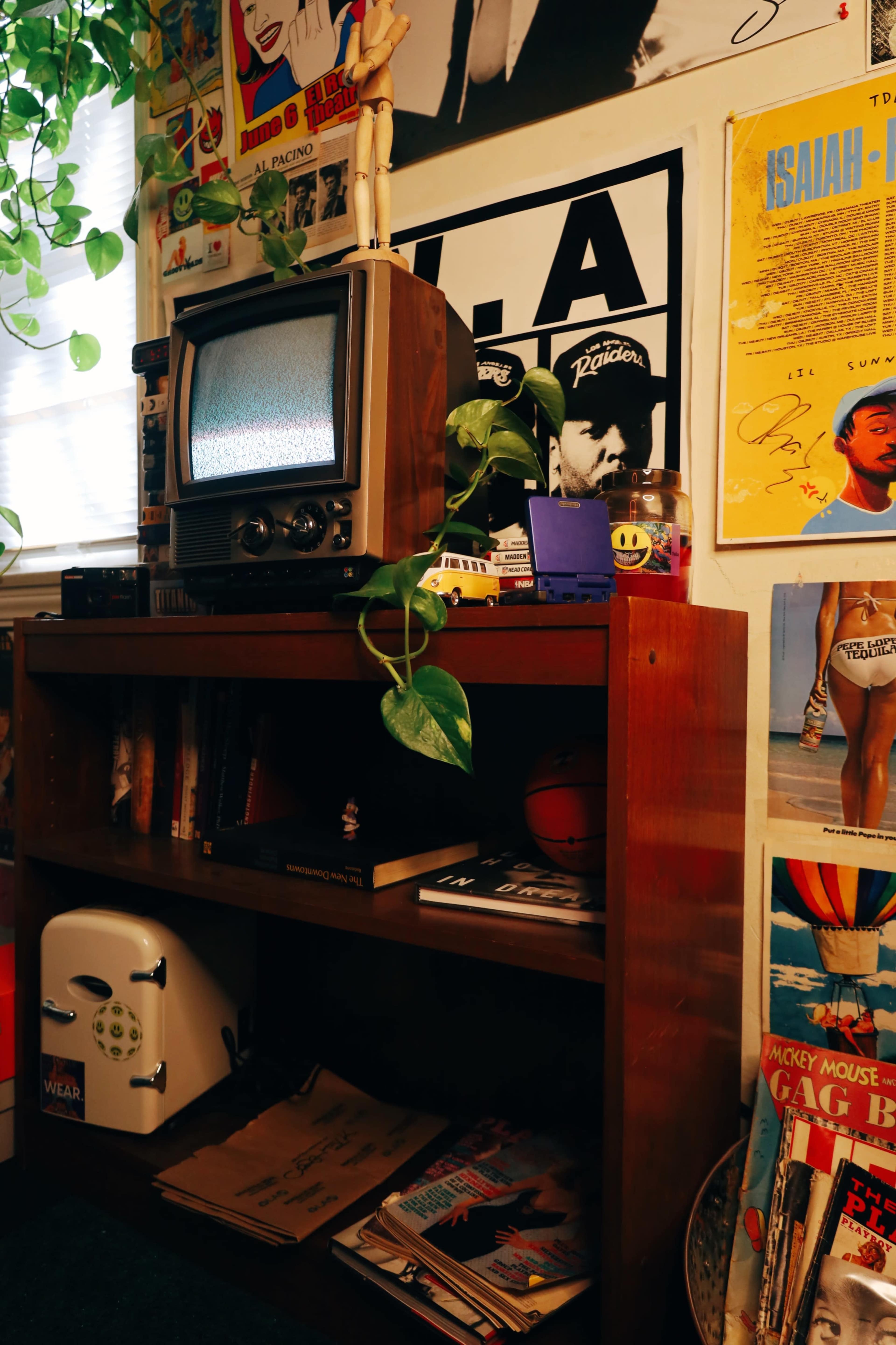 A wooden bookshelf holds a vintage television, various books, and a small white appliance, surrounded by colorful posters and plants.