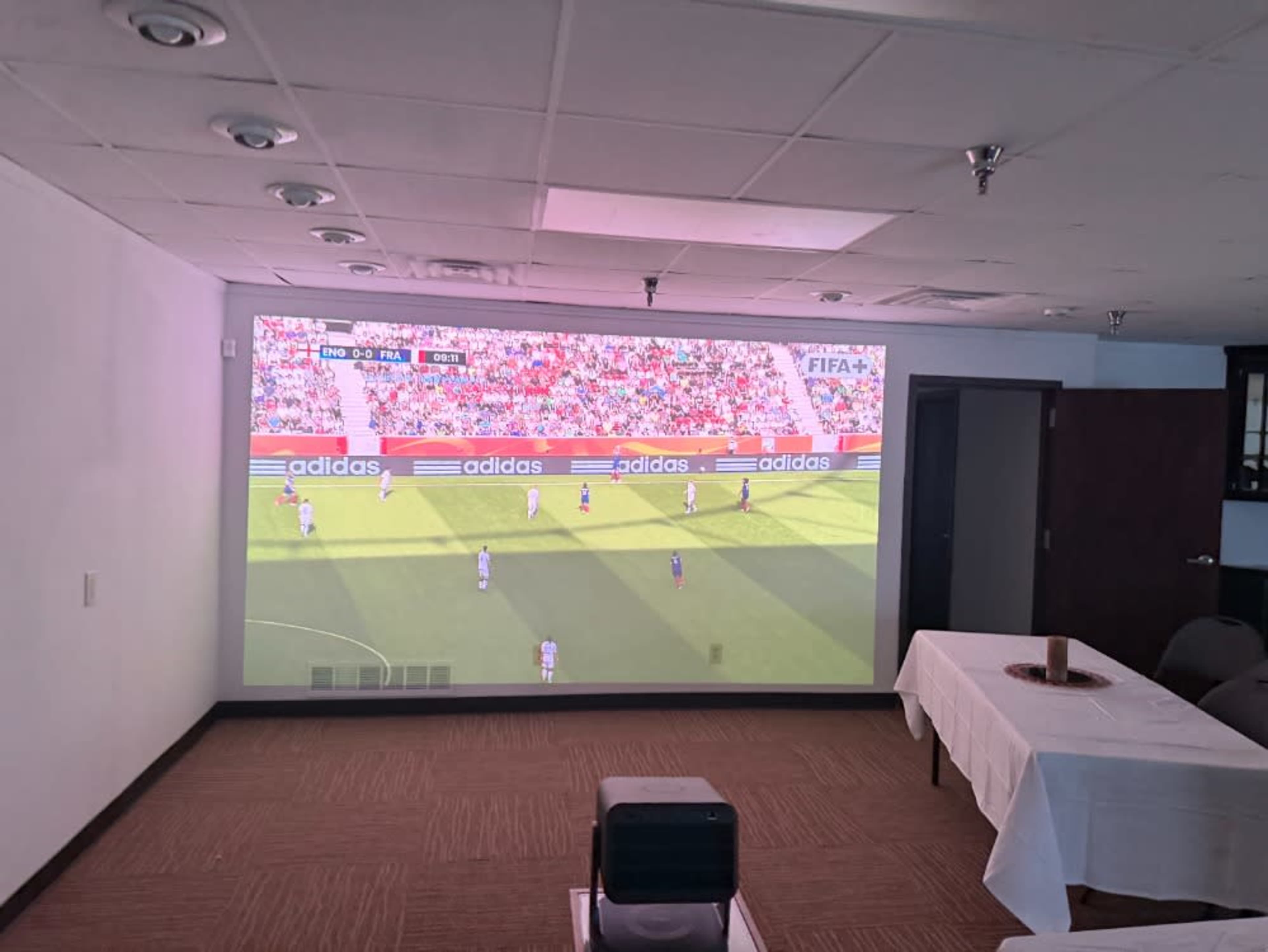 Projector
