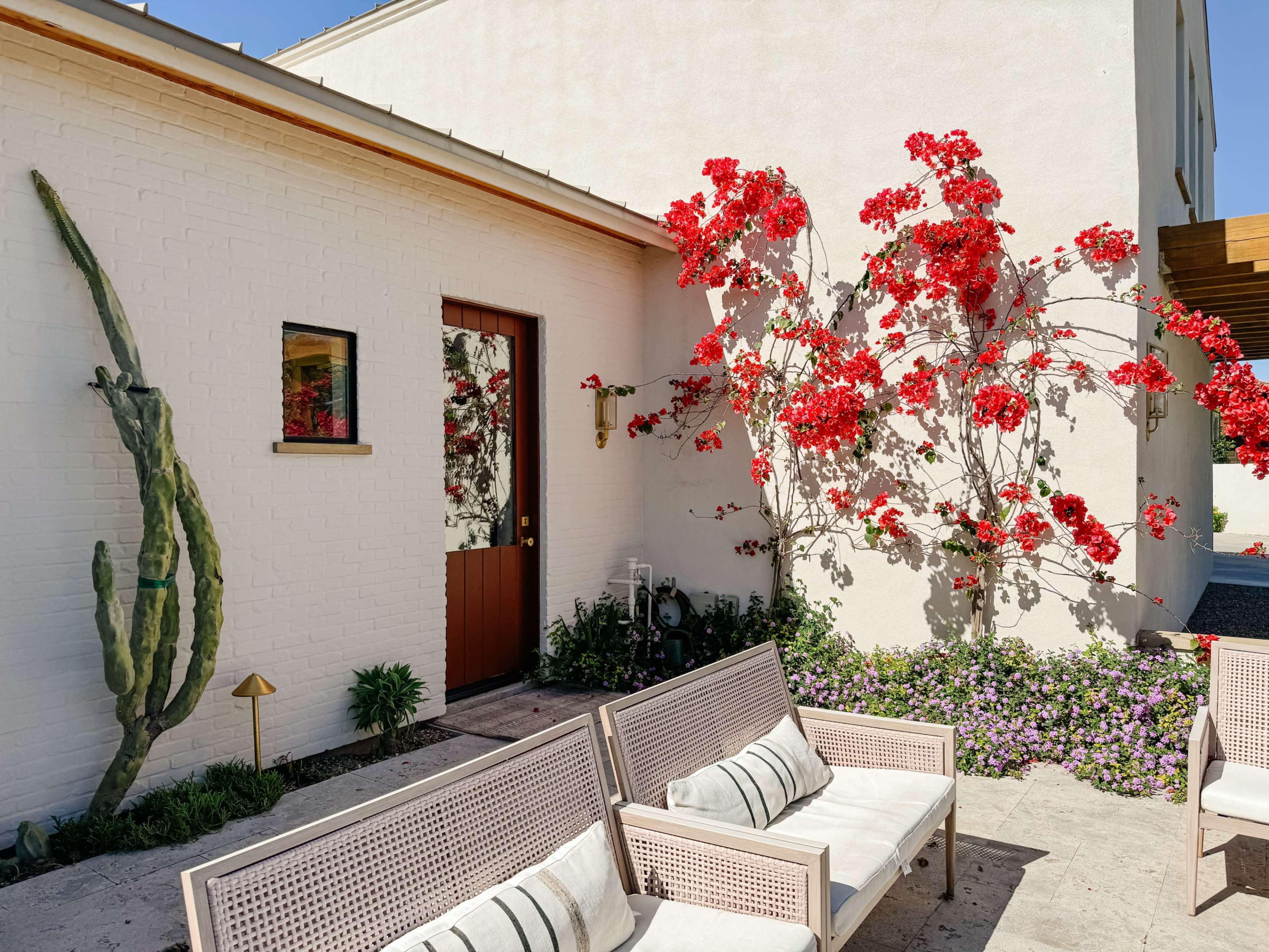 The scene features a white-walled outdoor area with a door, decorated by a bright red flowering plant and a tall cactus, alongside a seating arrangement with white couches.