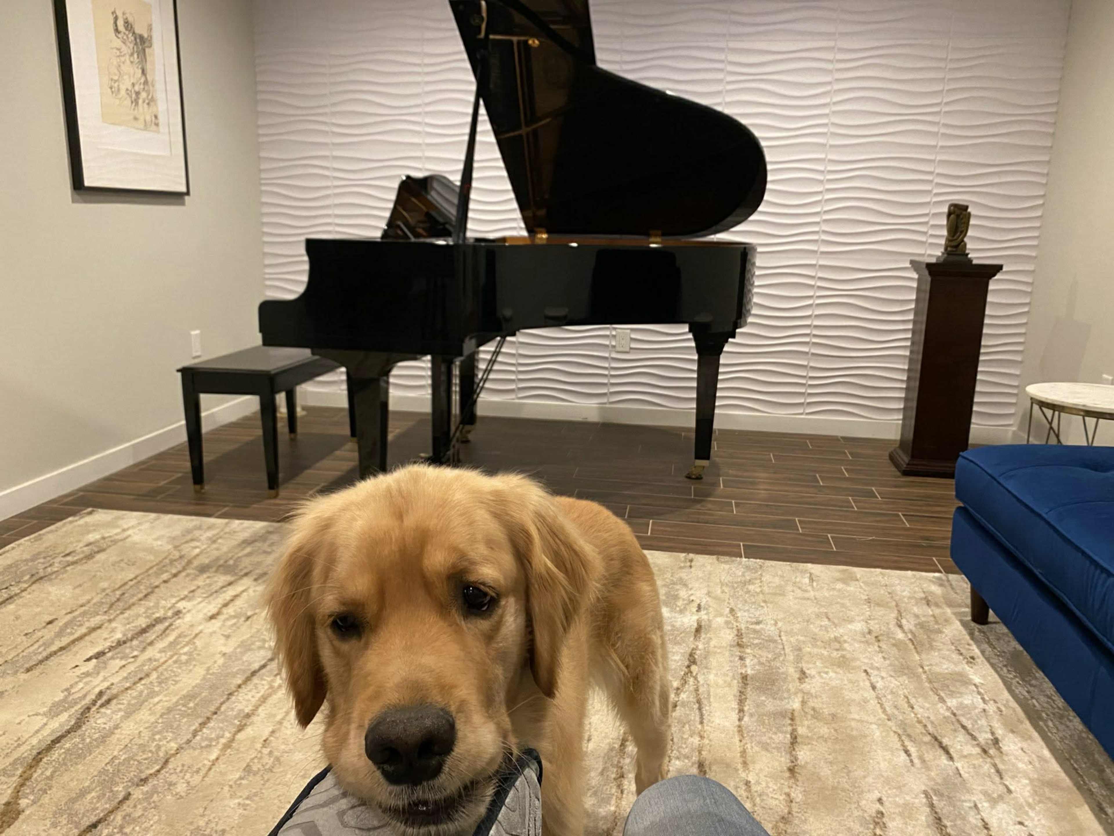 Professional Piano Practice & Lesson Space - Art Museum Area Image in North Philadelphia, Philadelphia, PA