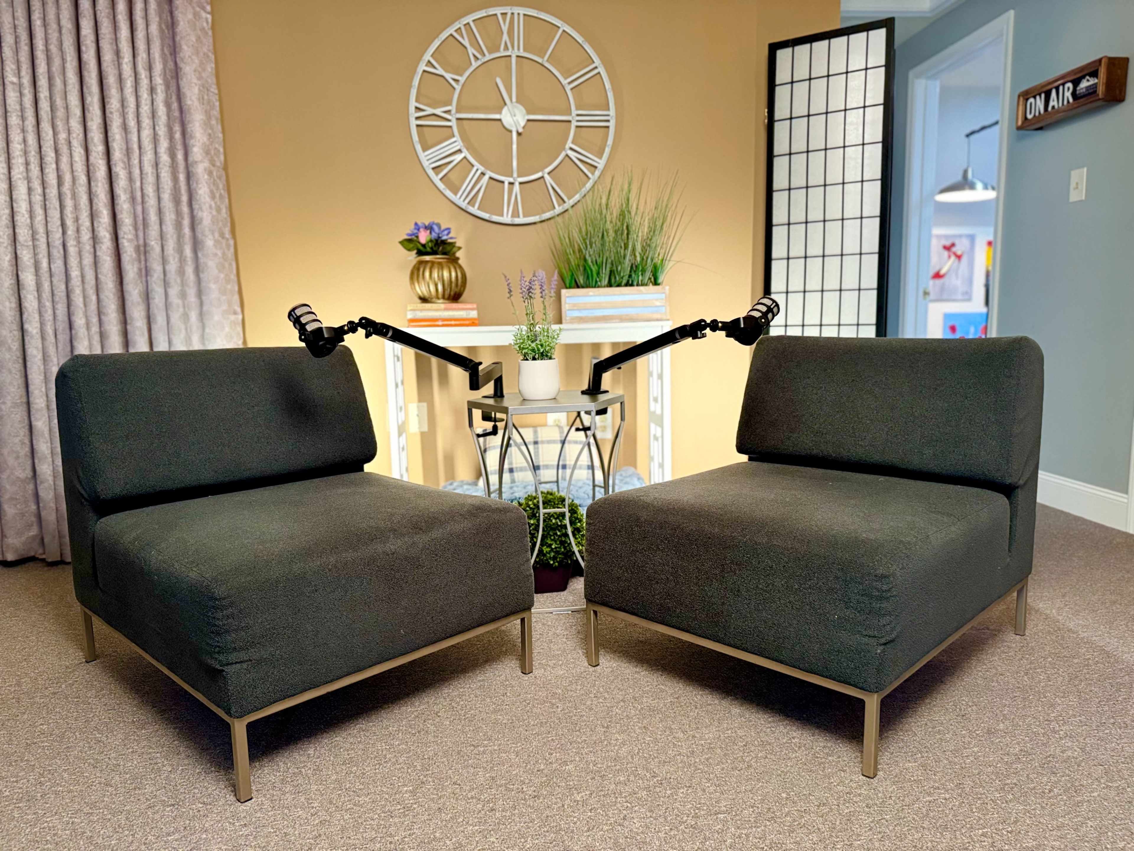 Two modern, dark upholstered chairs are positioned facing each other in a well-lit room with a decorative clock, plants, and books in the background.