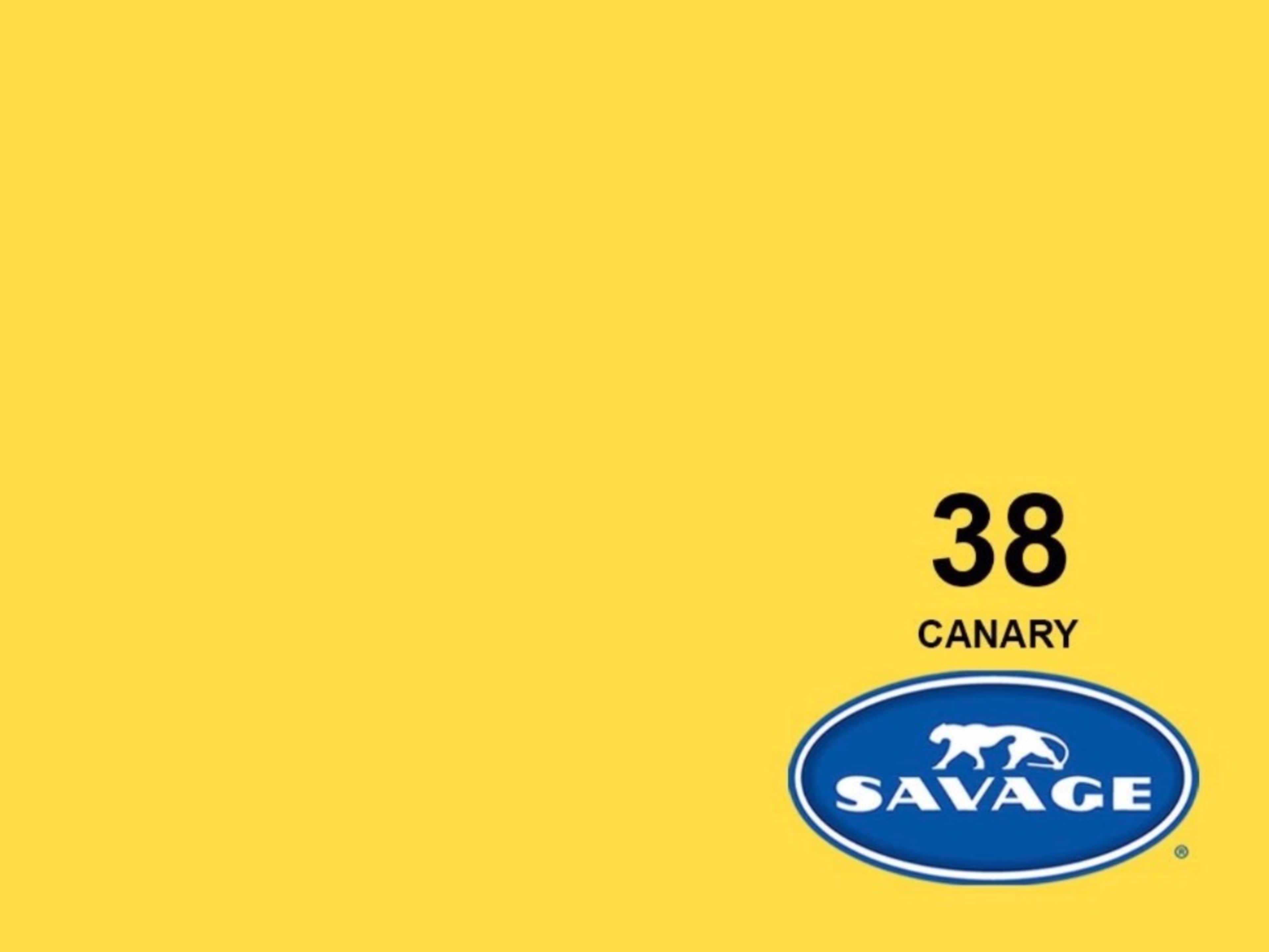 53” Seamless Backdrop - Canary