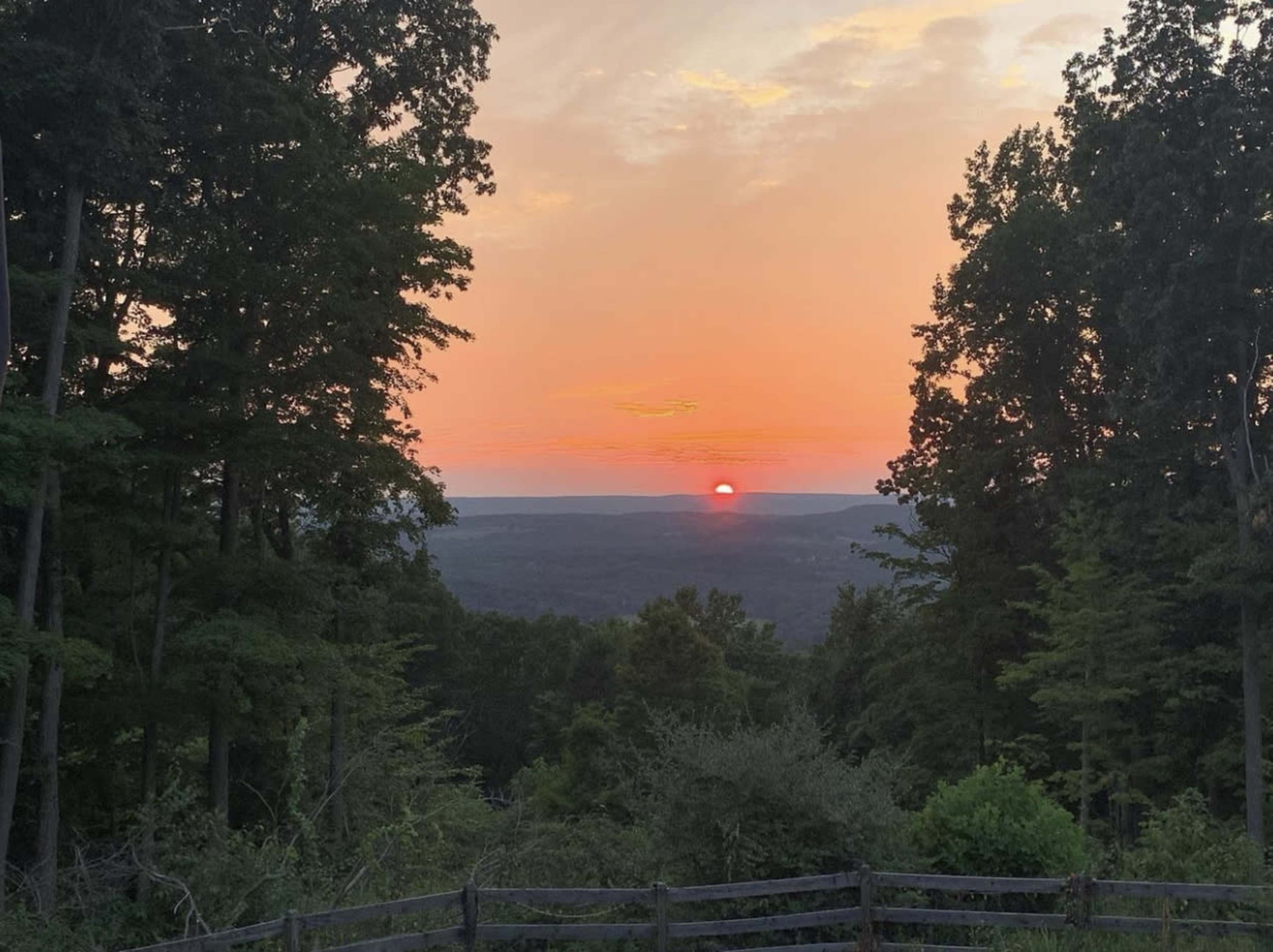 The sun sets over a mountainous landscape, framed by trees in the foreground.